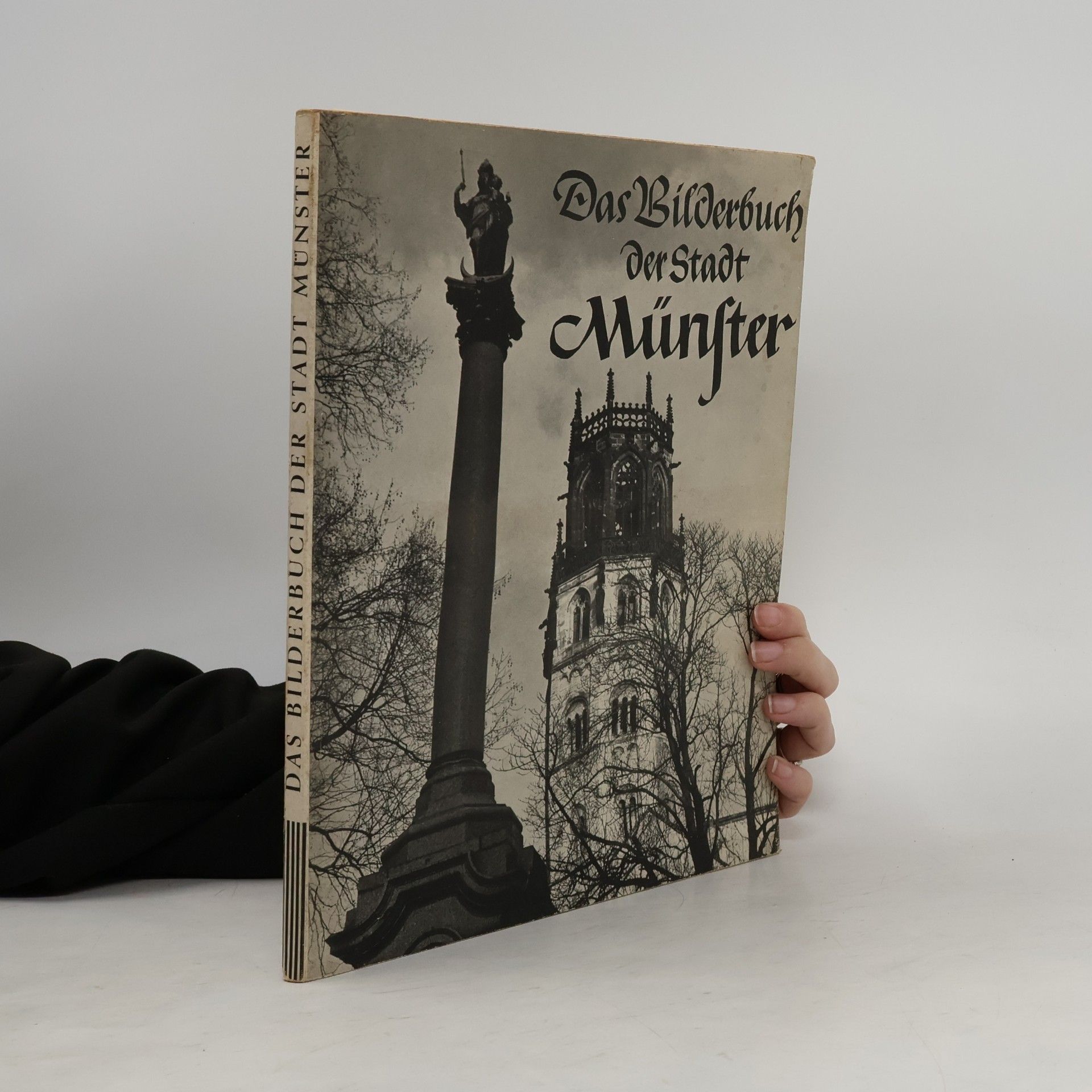 Dr. Elisabeth Schlicht Das Bilderbuch der Stadt Münster