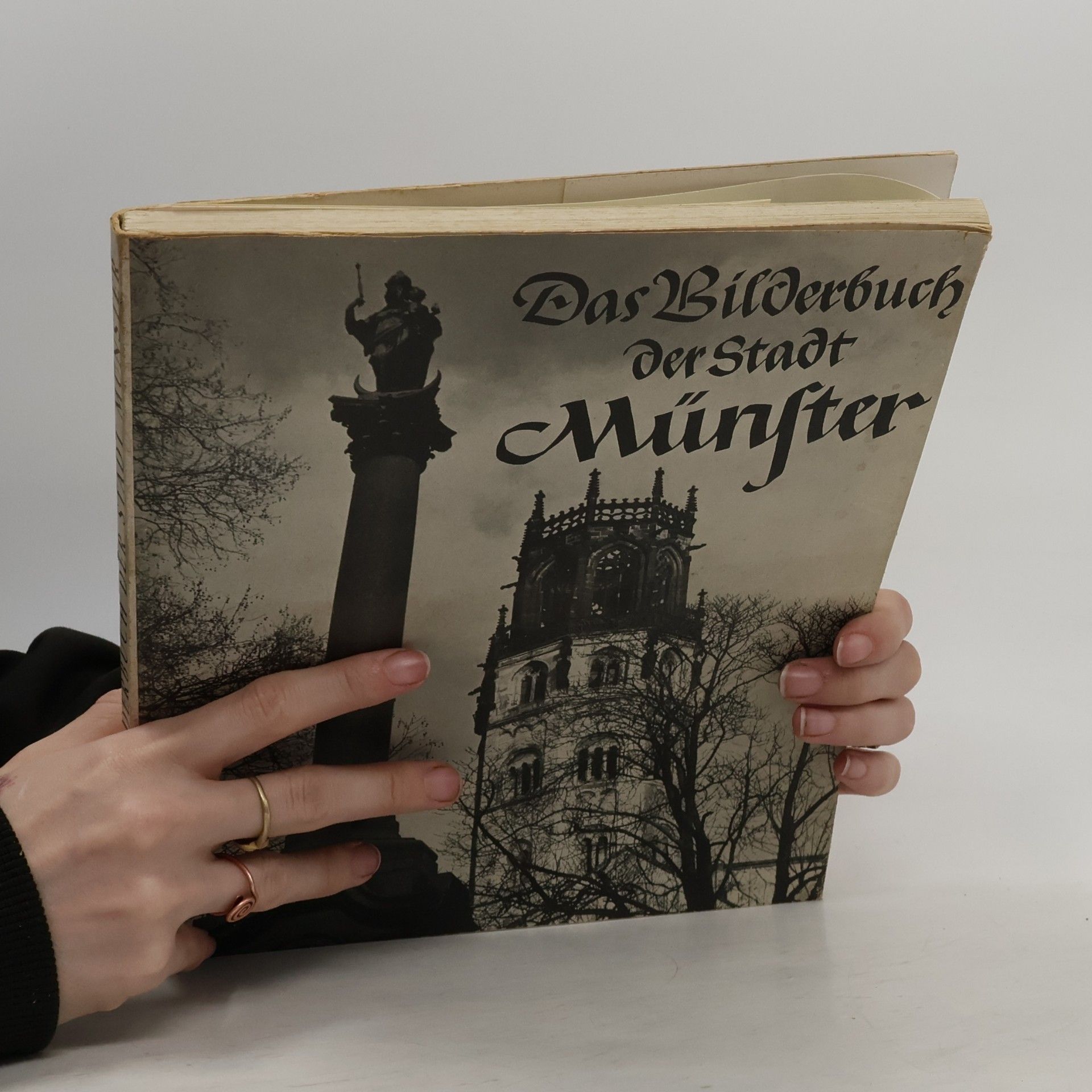 Sten Woelm Das Bilderbuch der Stadt Münster