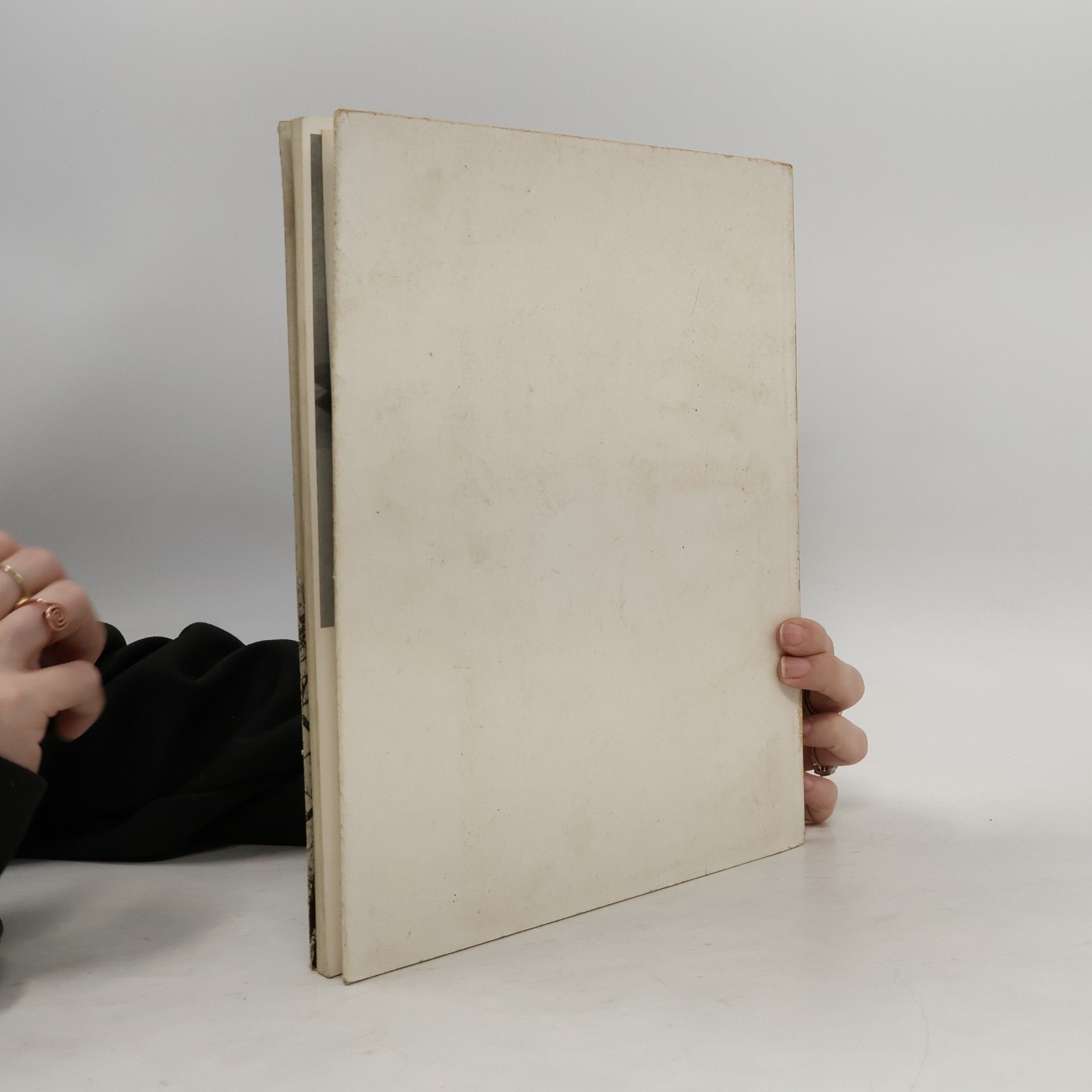 Sten Woelm Das Bilderbuch der Stadt Münster