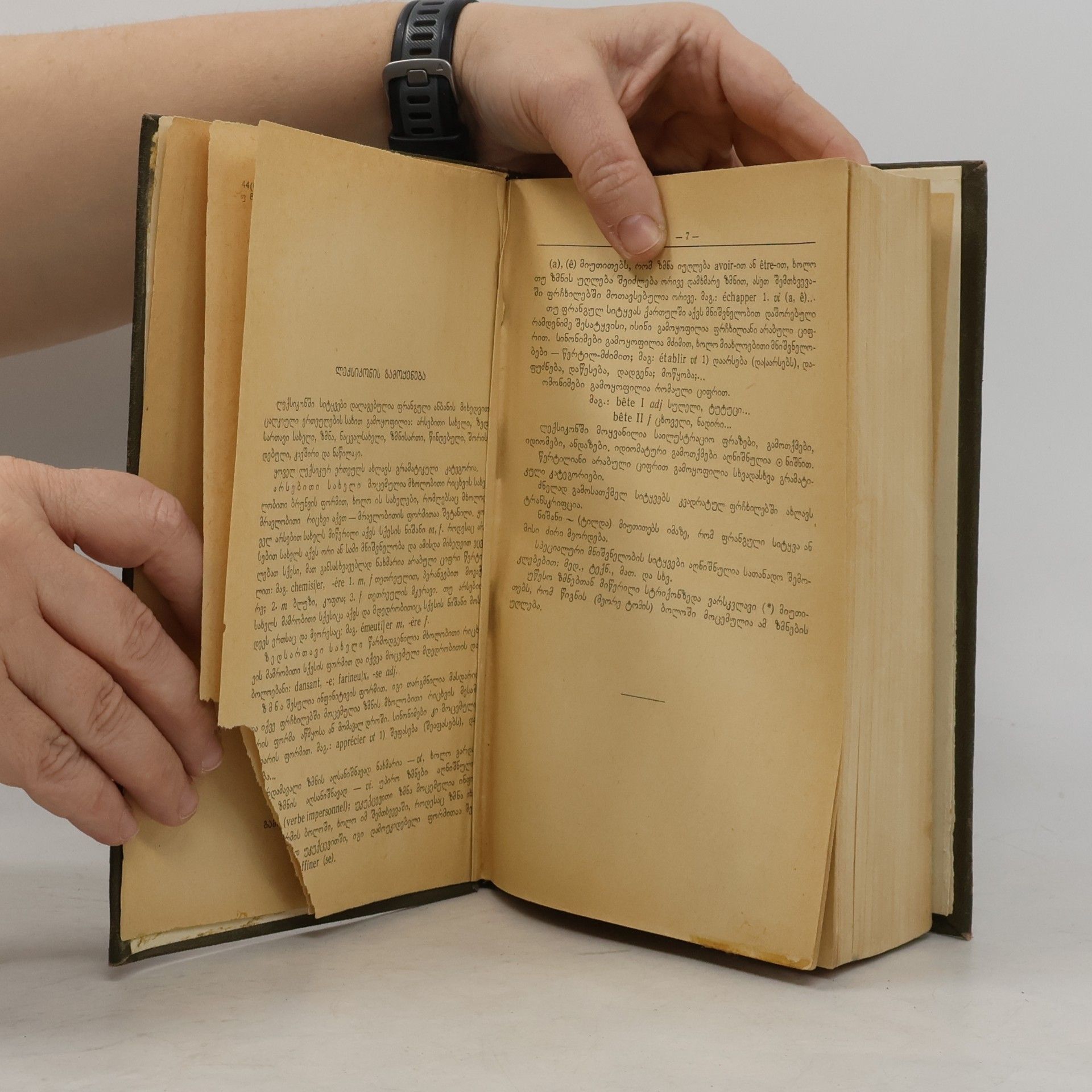 Various authors Dictionnaire Français-Géorgien