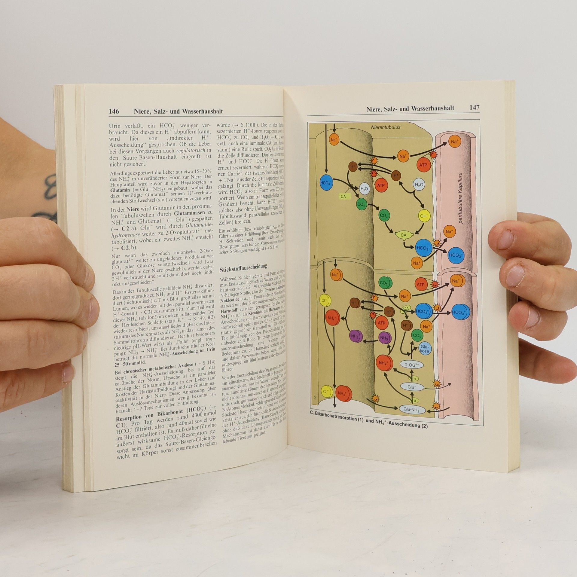Stefan Silbernagl Taschenatlas der Physiologie