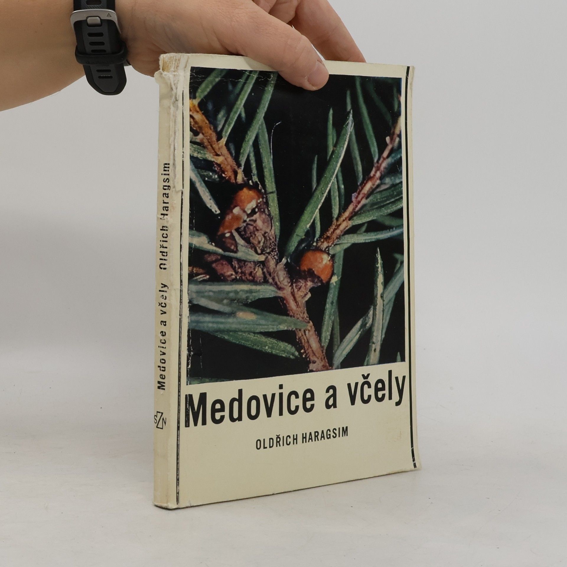 Medovice a včely