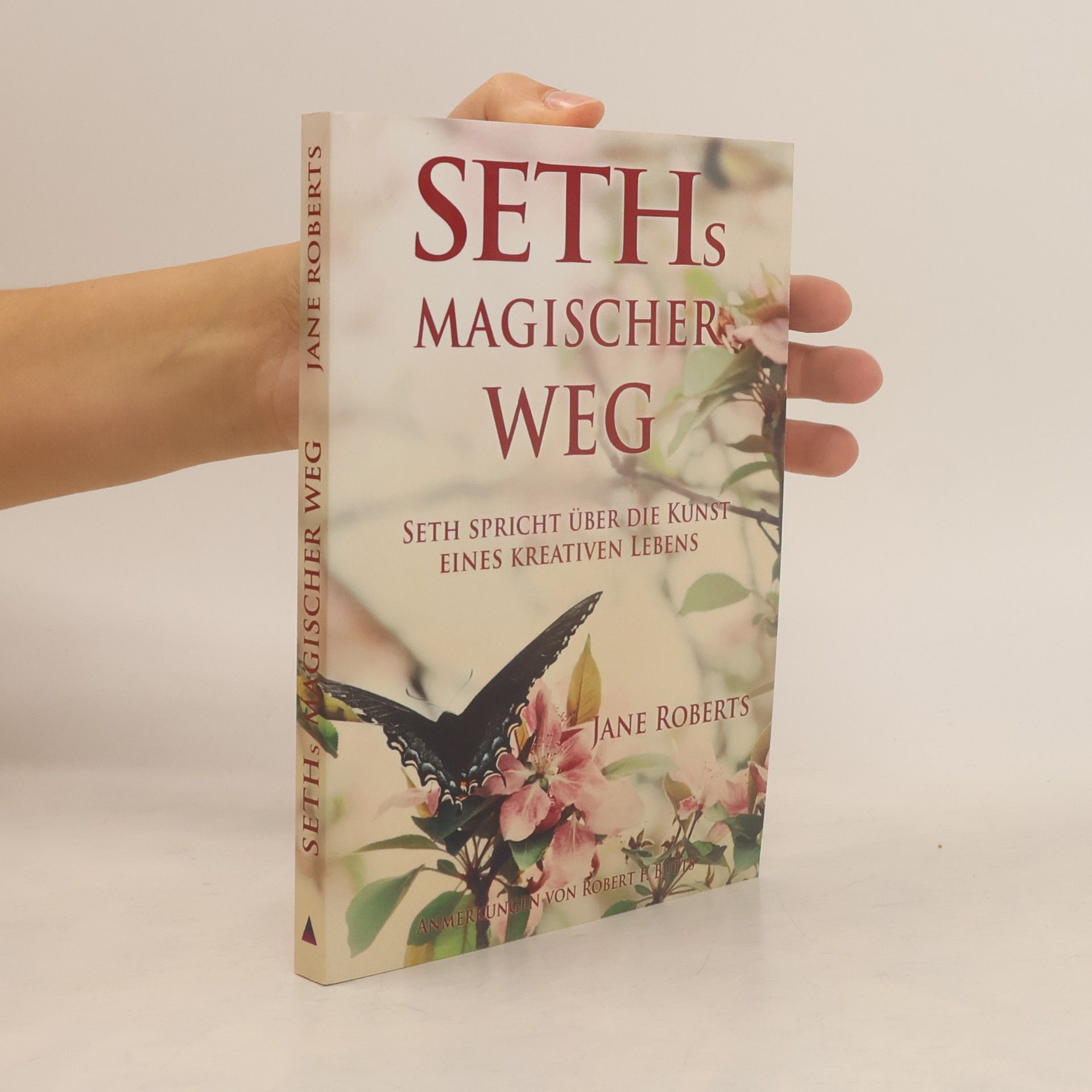 Seth Seths Magischer Weg