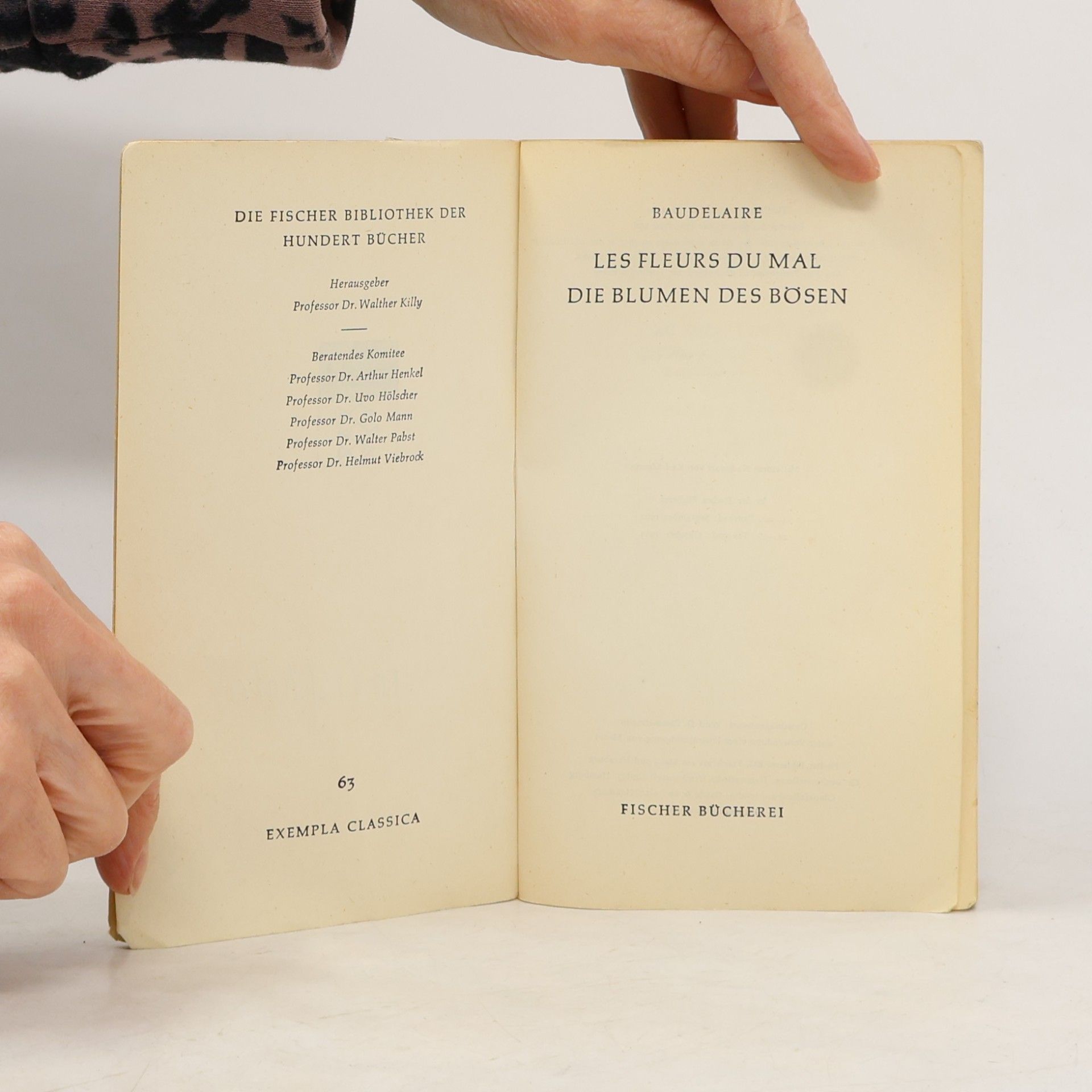 Charles Baudelaire Les Fleurs du Mal. Die Blumen des Bösen