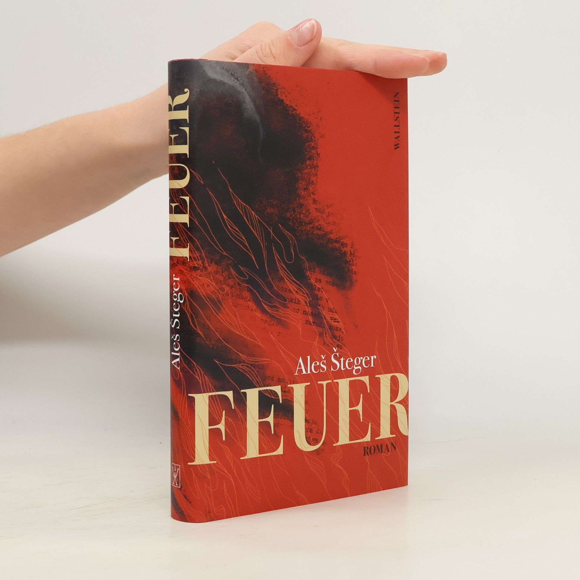Aleš Šteger Feuer: Roman