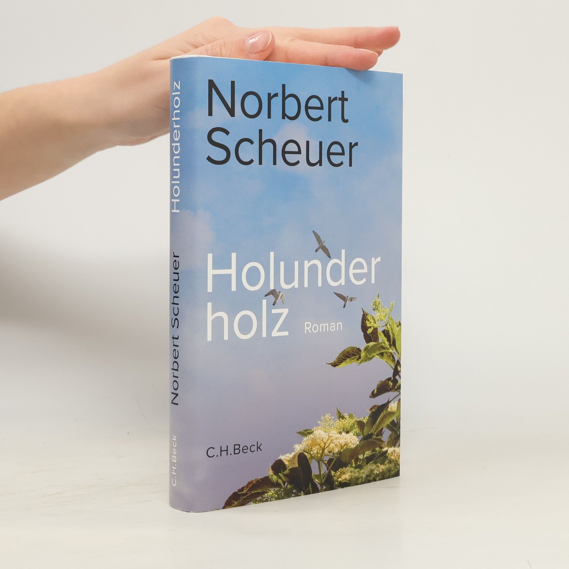 Norbert Scheuer Holunderholz: Roman