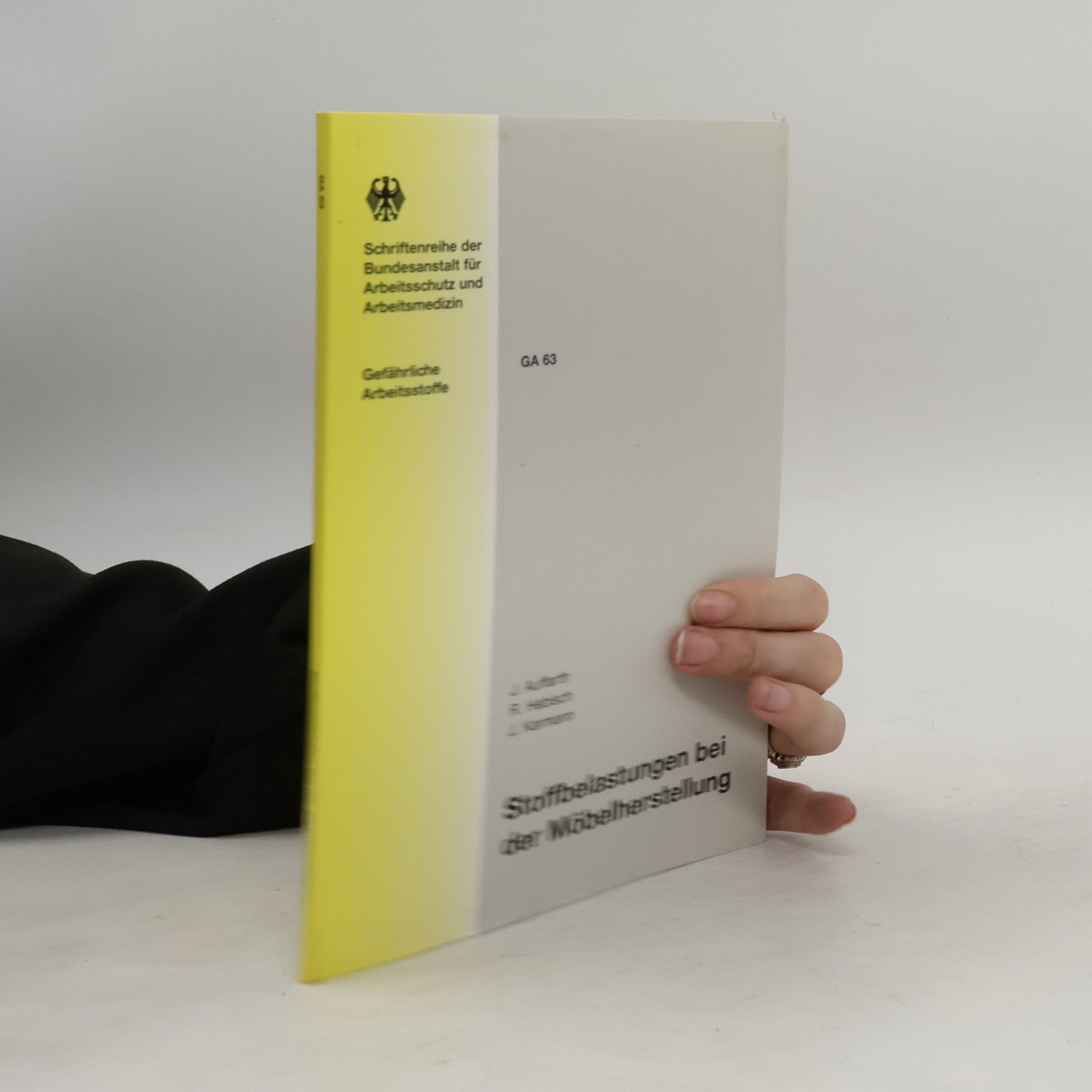 Jörg Karmann Gefährliche Arbeitsstoffe - 63: Stoffbelastungen bei der Möbelherstellung