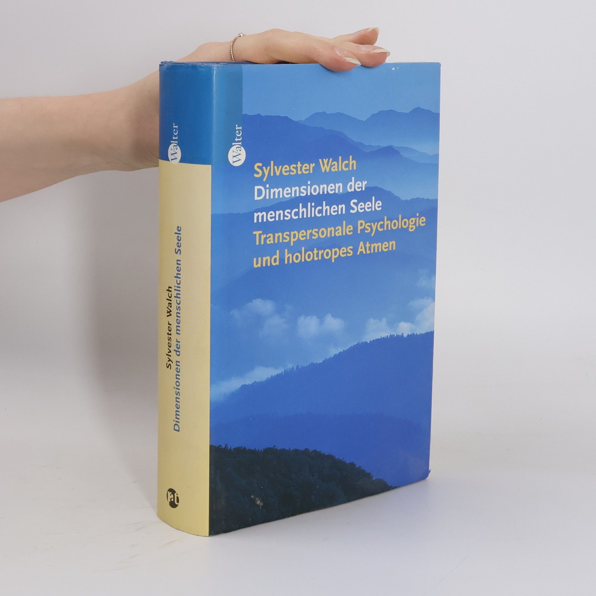 Sylvester Walch Dimensionen der menschlichen Seele
