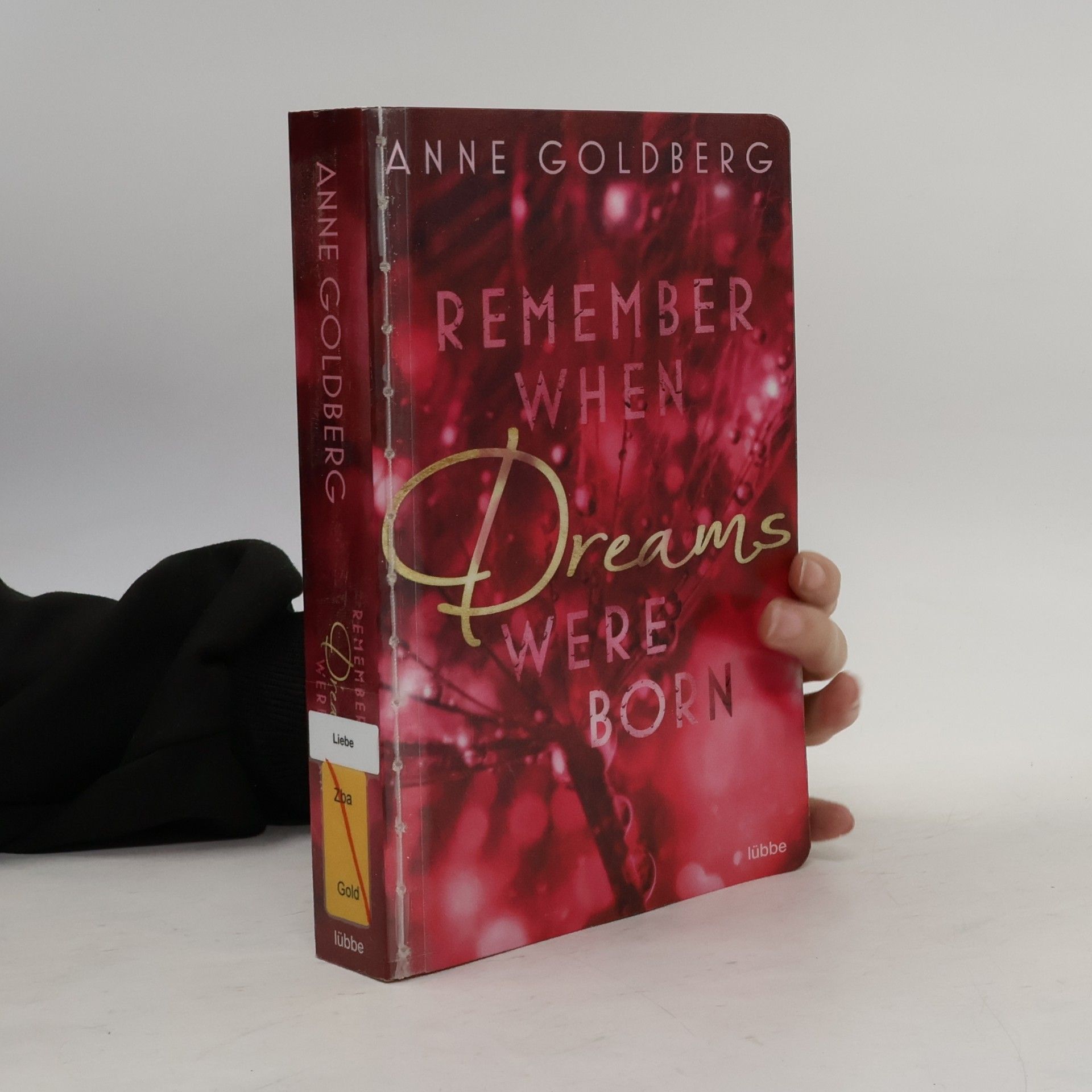 Anne Goldberg Remember when Dreams were born