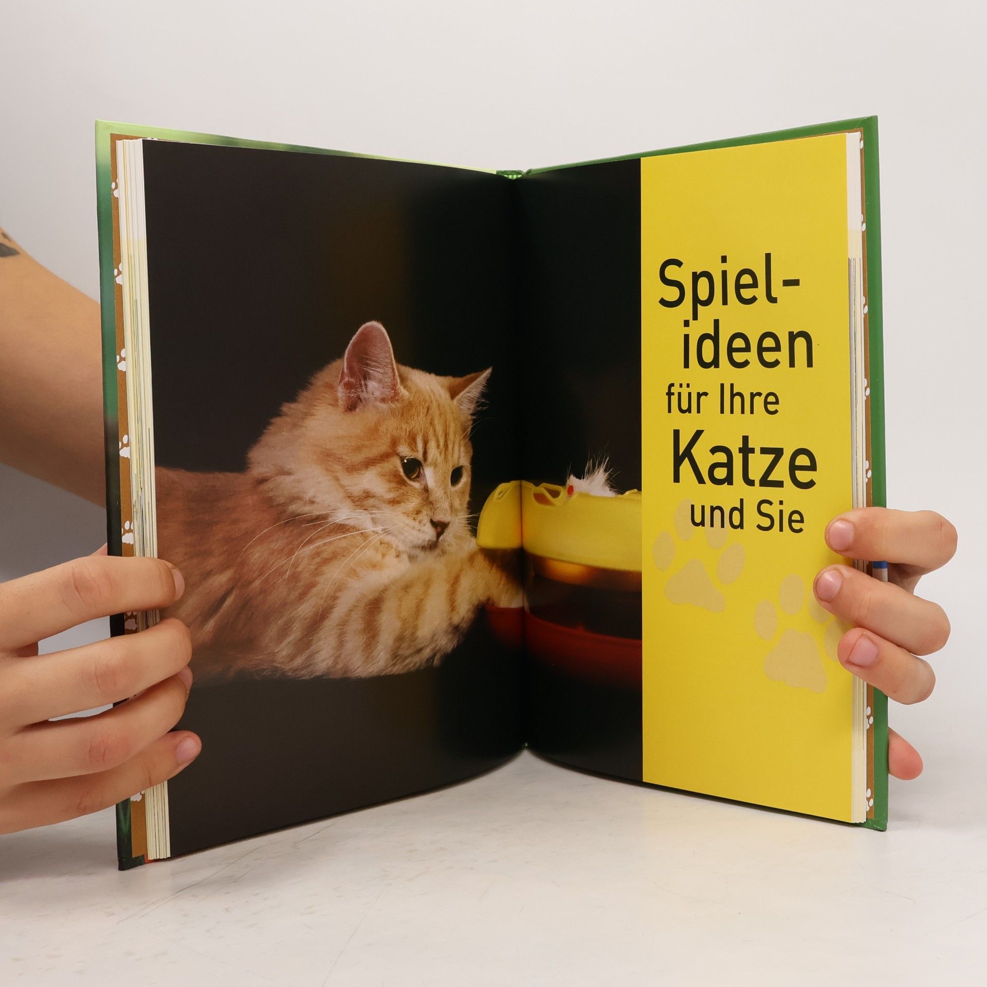 Miriam Kuhl Zeit für meine Katze