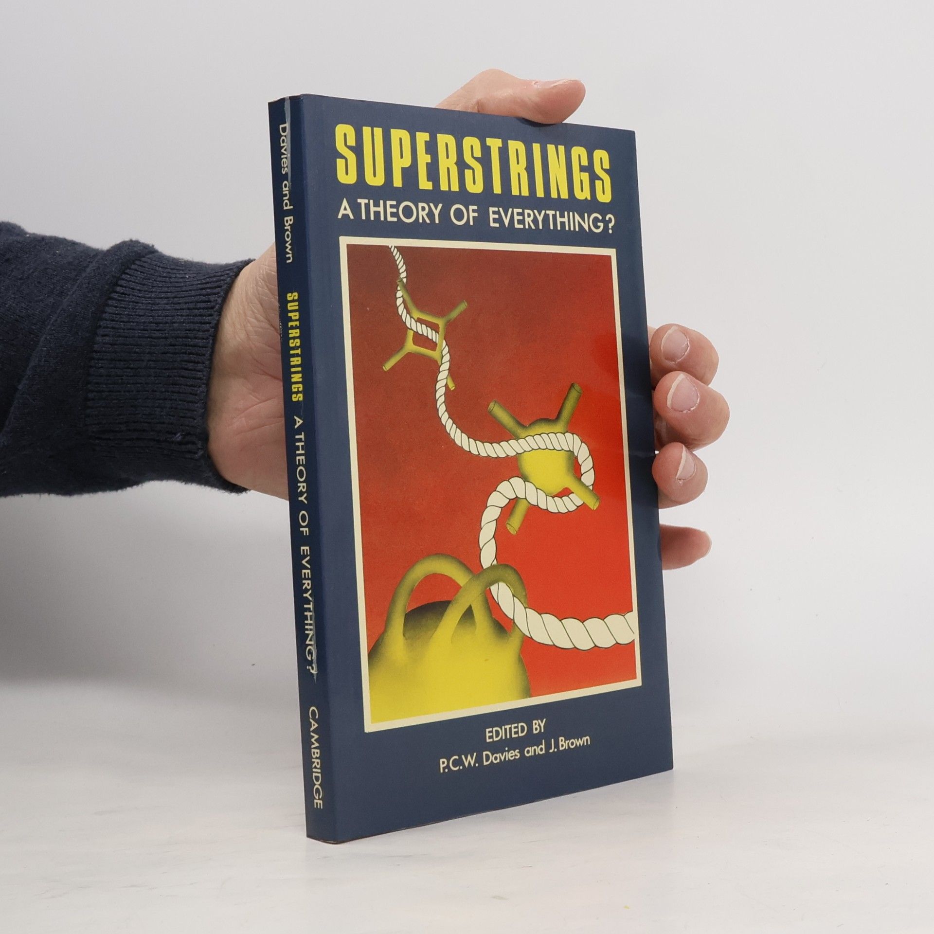 P. C. W. Davies Superstrings