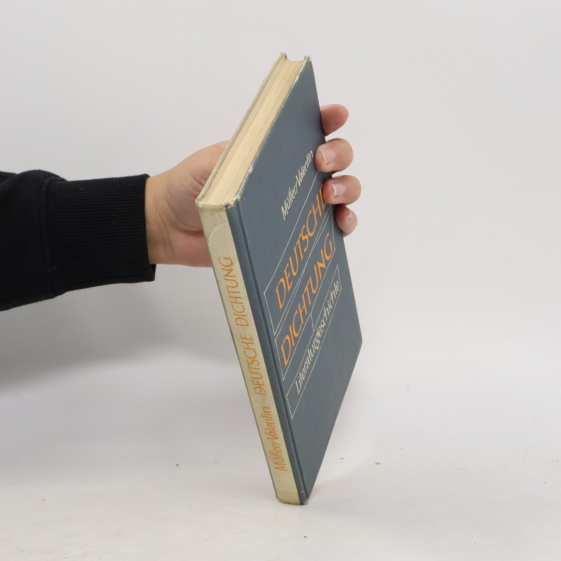 Friedrich Müller Deutsche Dichtung. Kleine Geschichte unserer Literatur