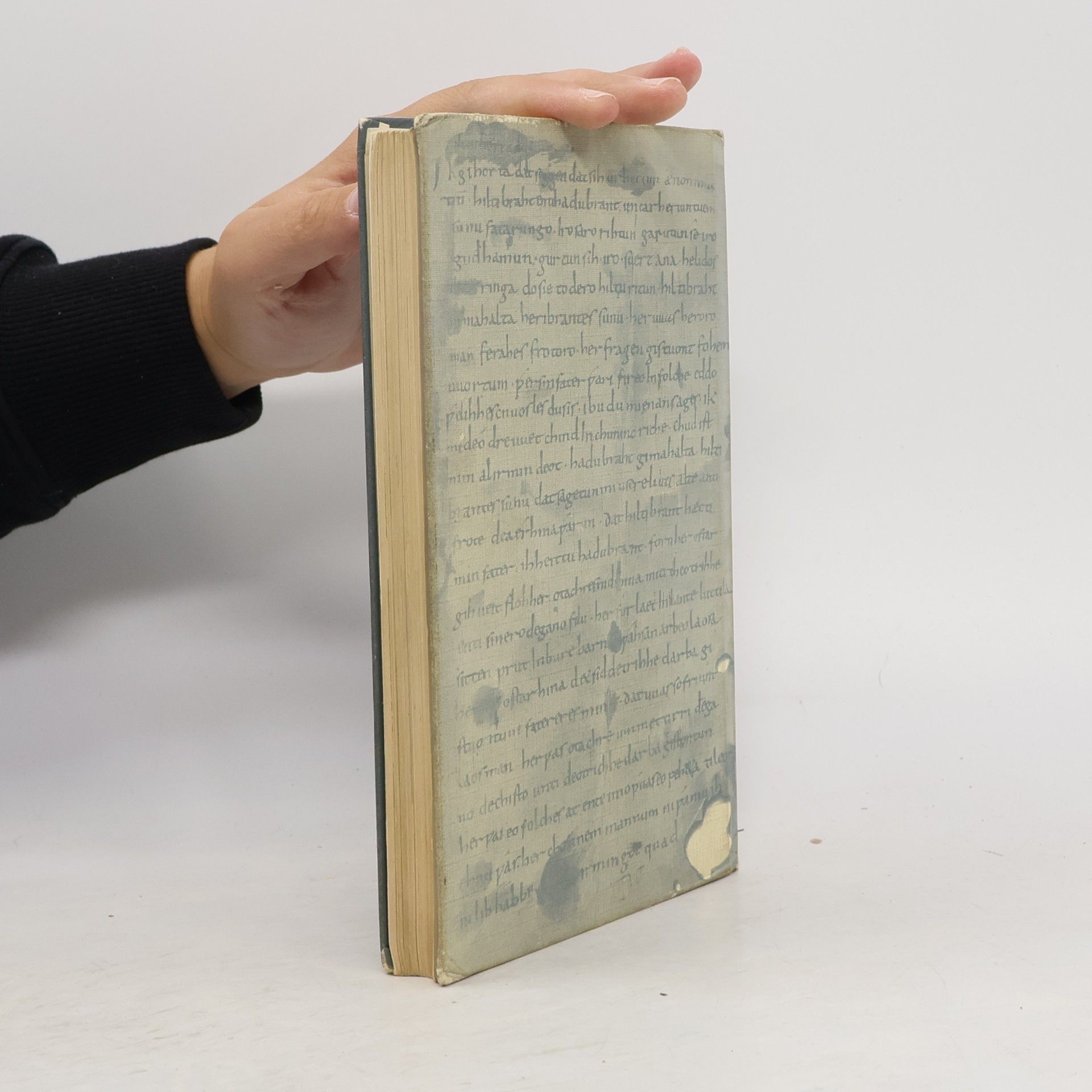 Friedrich Müller Deutsche Dichtung. Kleine Geschichte unserer Literatur