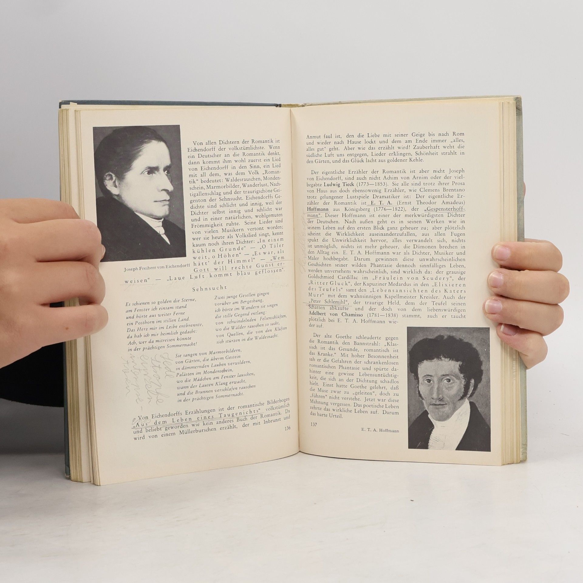 Friedrich Müller Deutsche Dichtung. Kleine Geschichte unserer Literatur