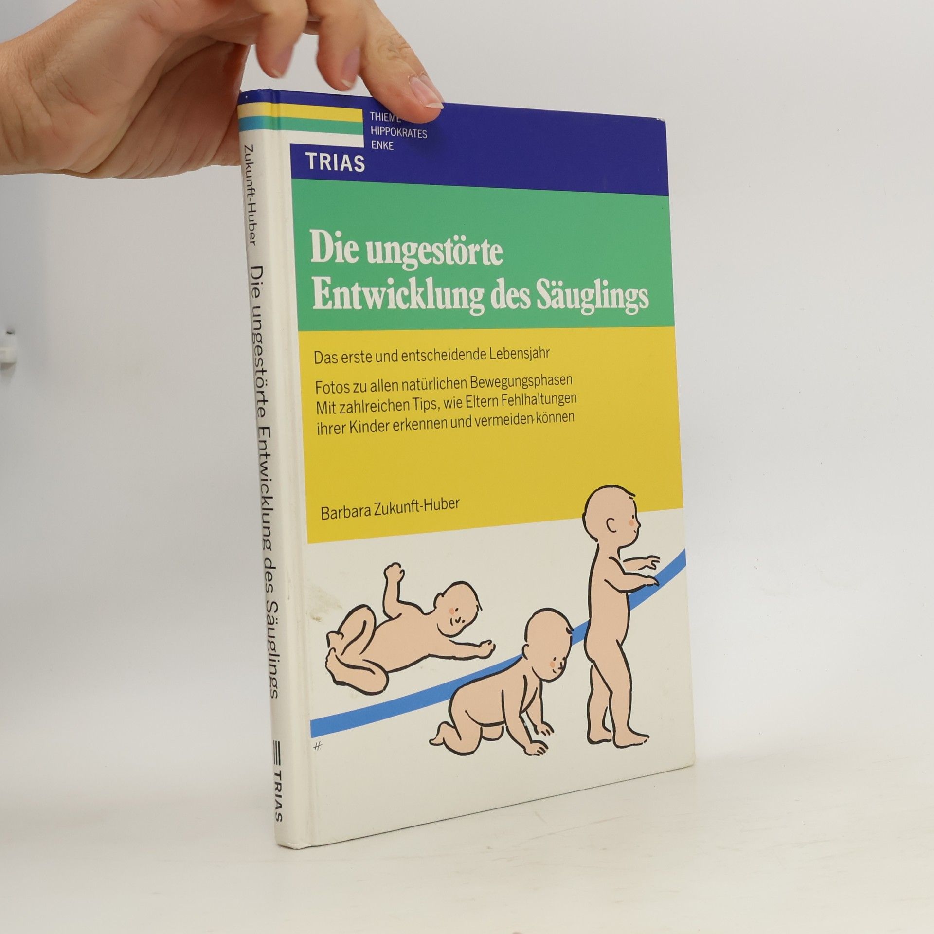 Barbara Zukunft Huber Die ungestörte Entwicklung des Säuglings