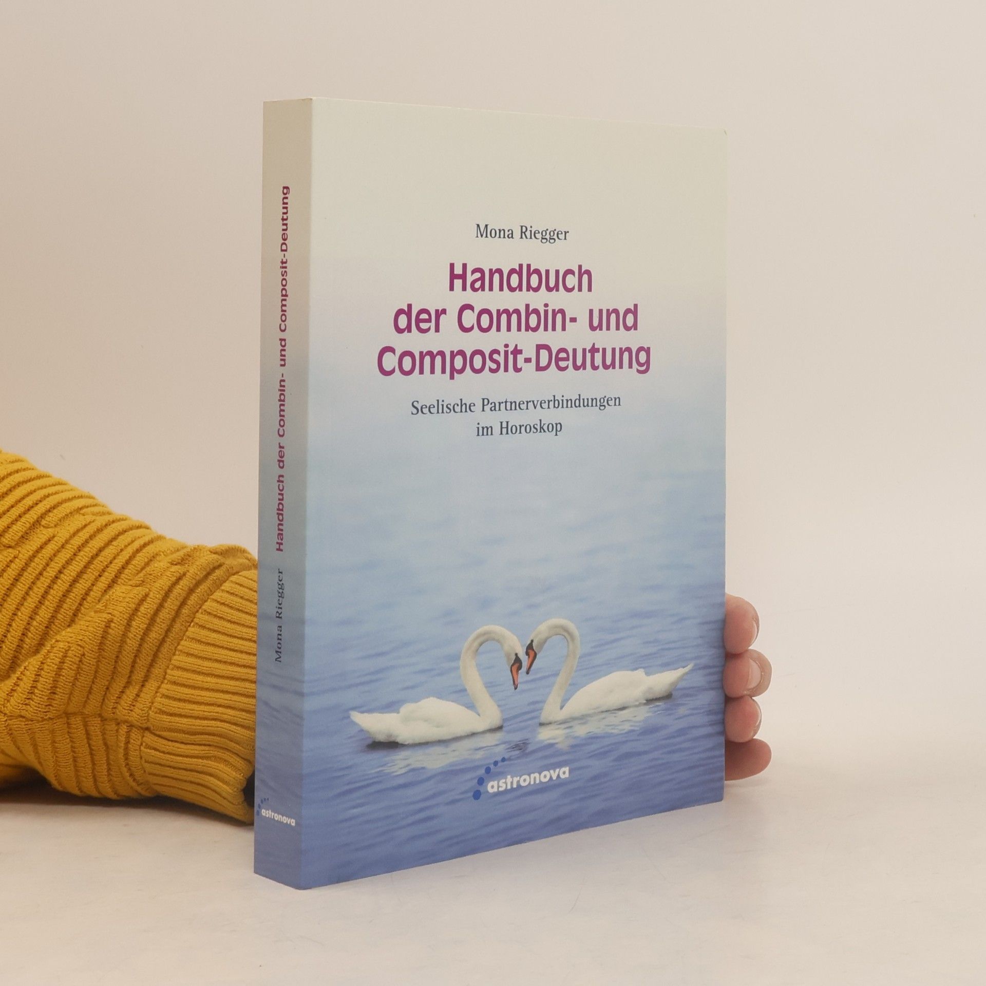Mona Riegger Handbuch der Combin- und Composit-Deutung