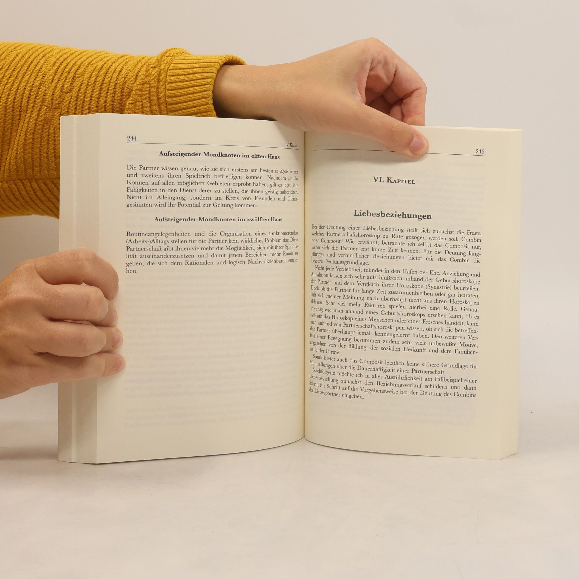 Mona Riegger Handbuch der Combin- und Composit-Deutung