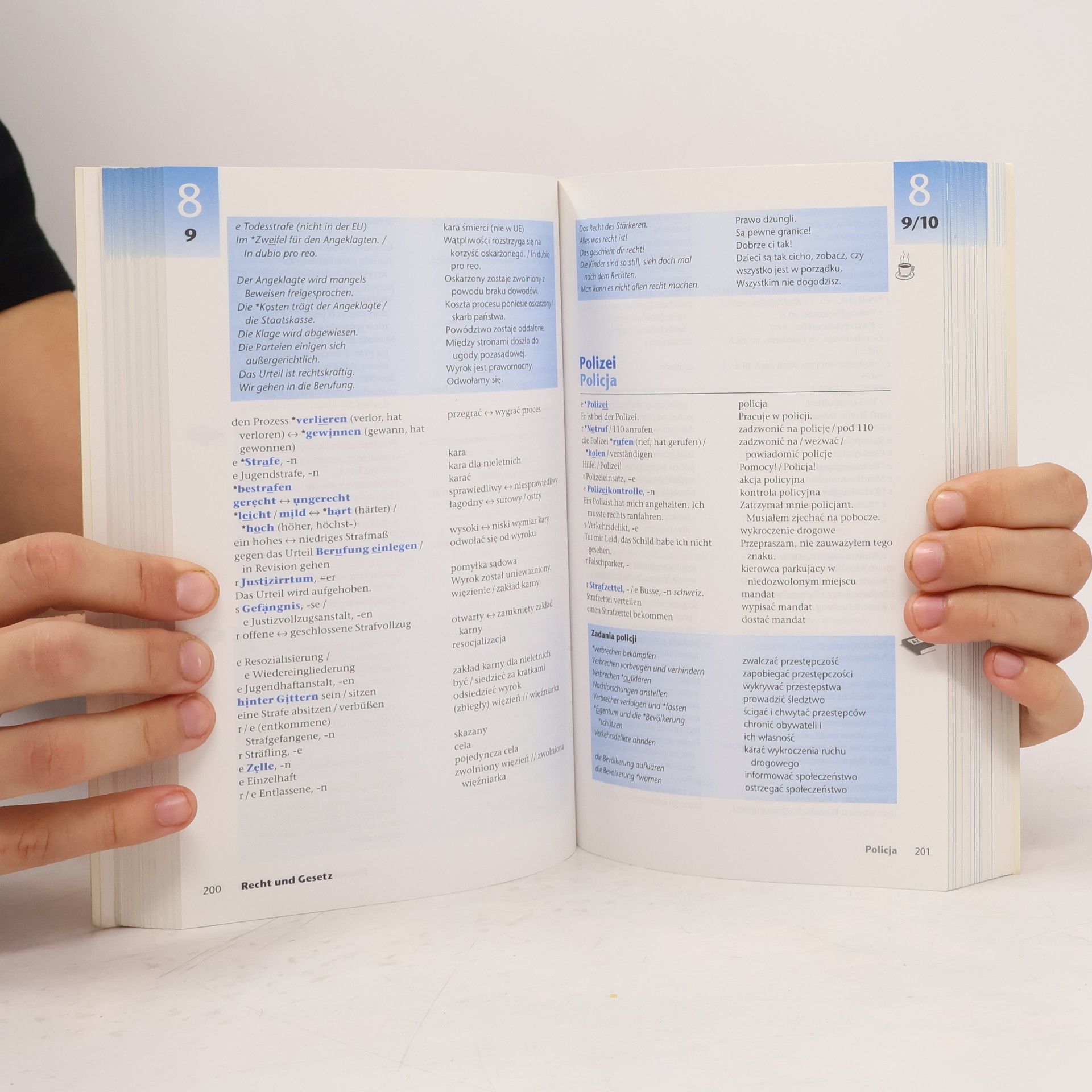 Sabine Dinsel Großer Lernwortschatz Deutsch als Fremdsprache