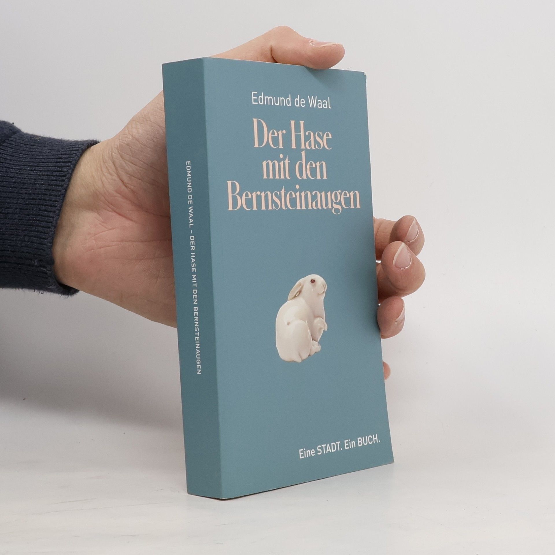 Edmund de Waal Der Hase mit den Bernsteinaugen