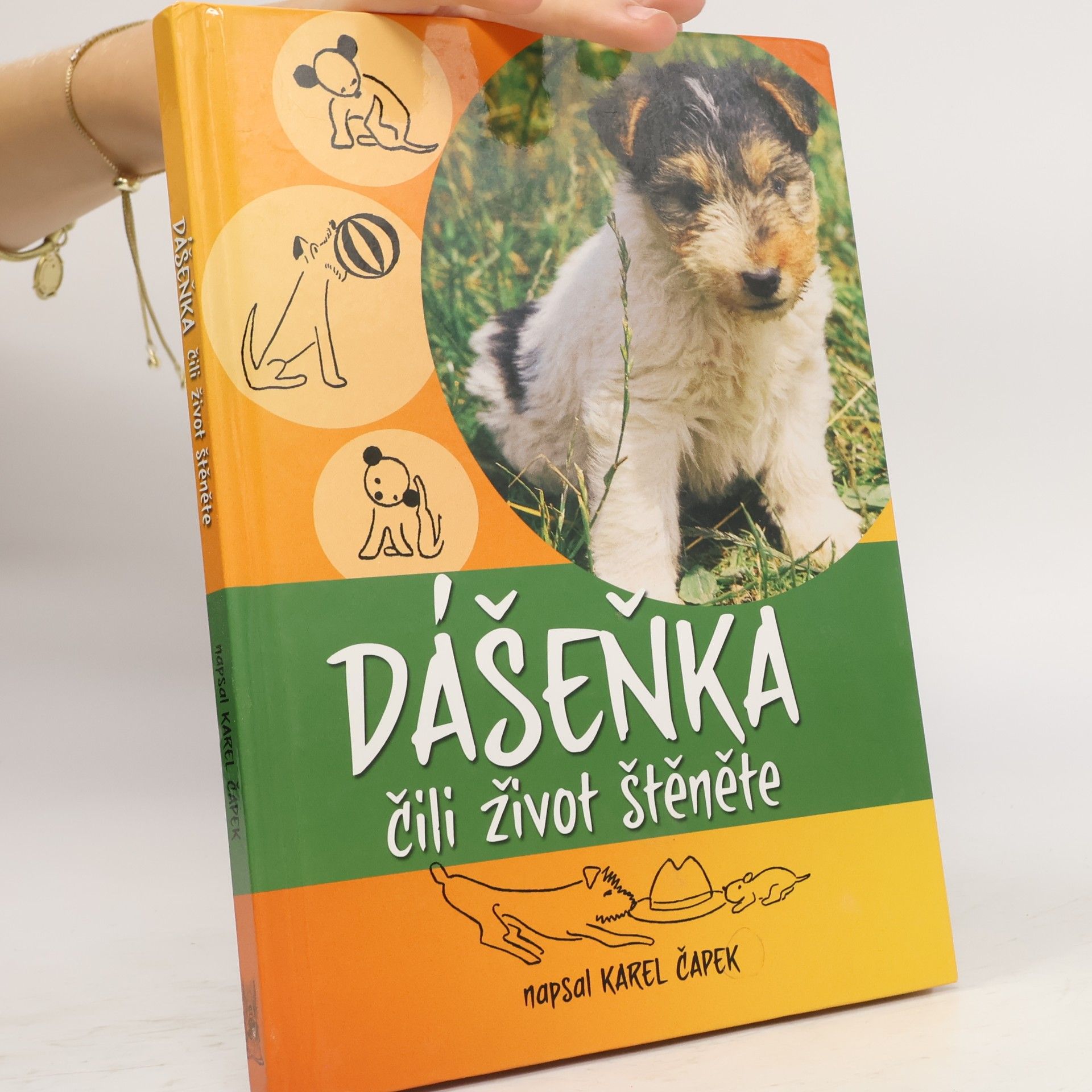 Karel Čapek Dášeňka čili život štěněte
