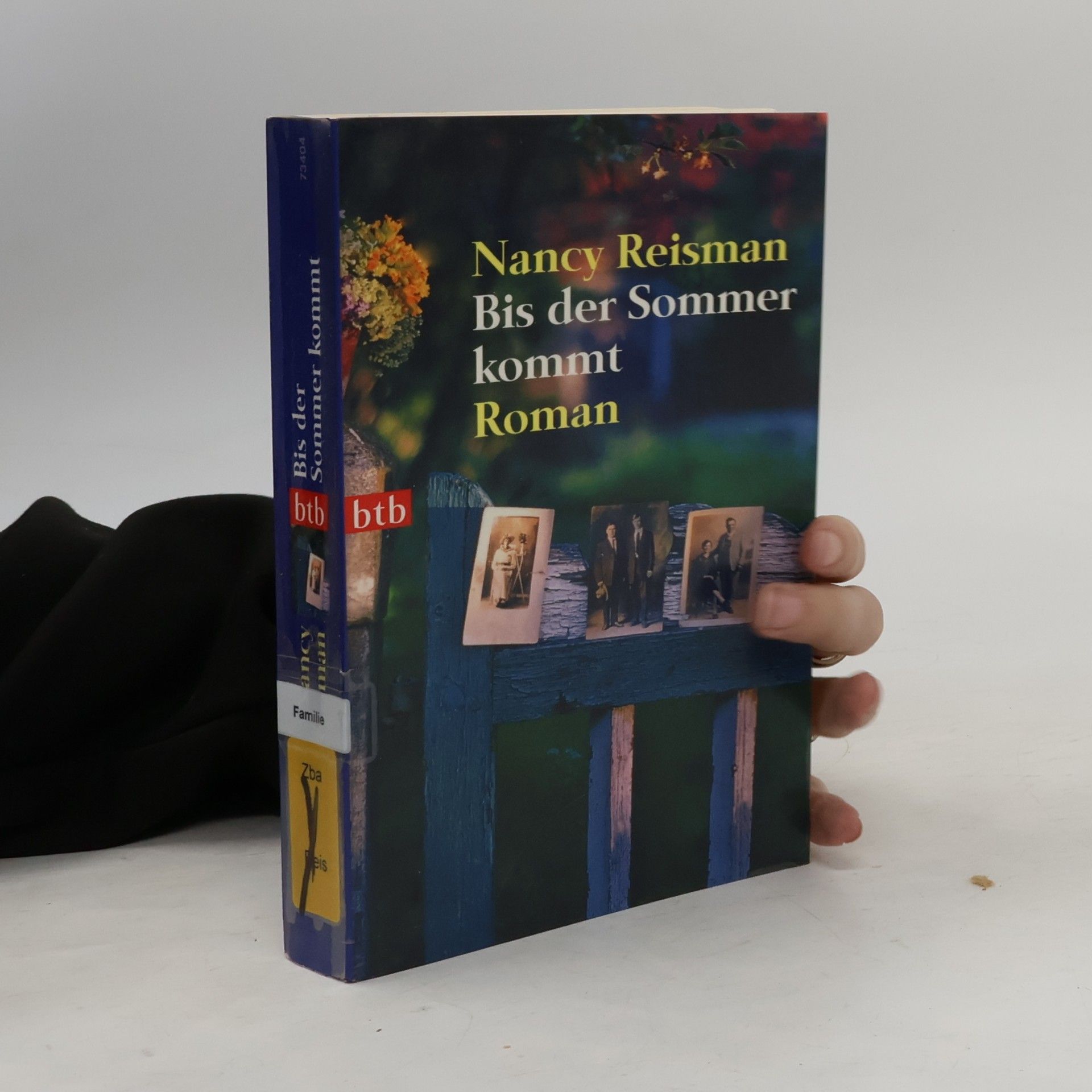 Nancy Reisman Bis der Sommer kommt