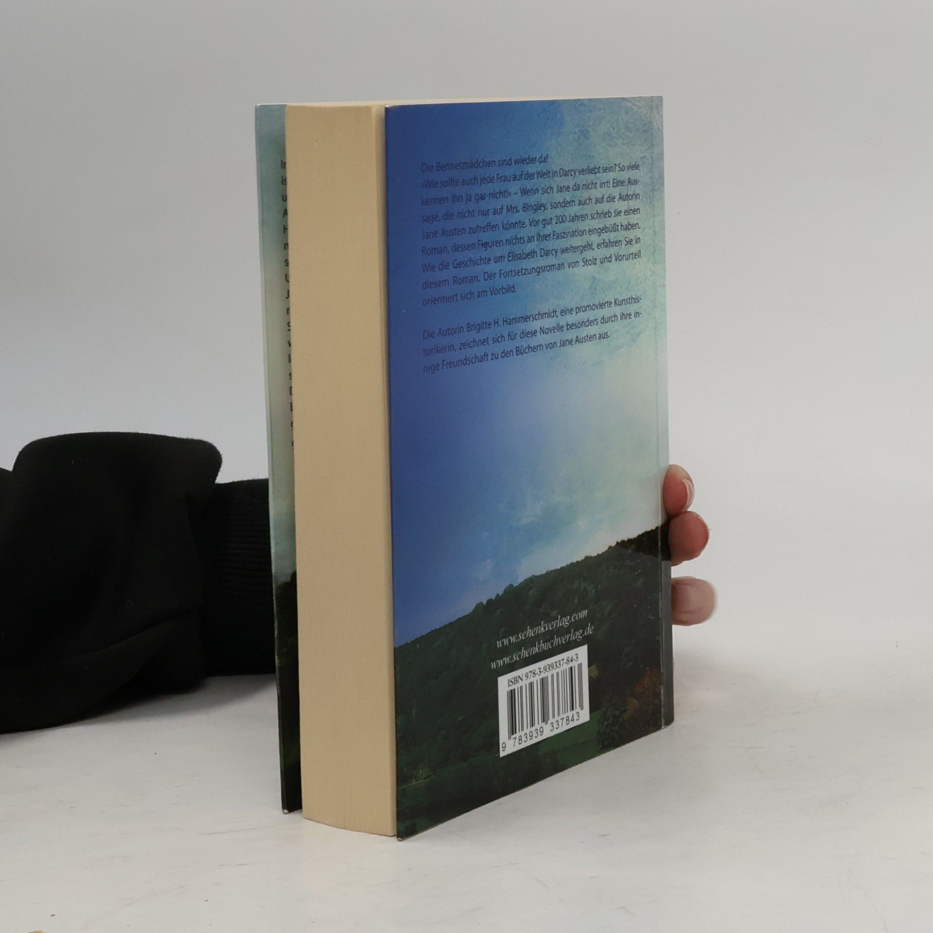 Brigitte H. Hammerschmidt Irrungen und Wirrungen auf Pemberley