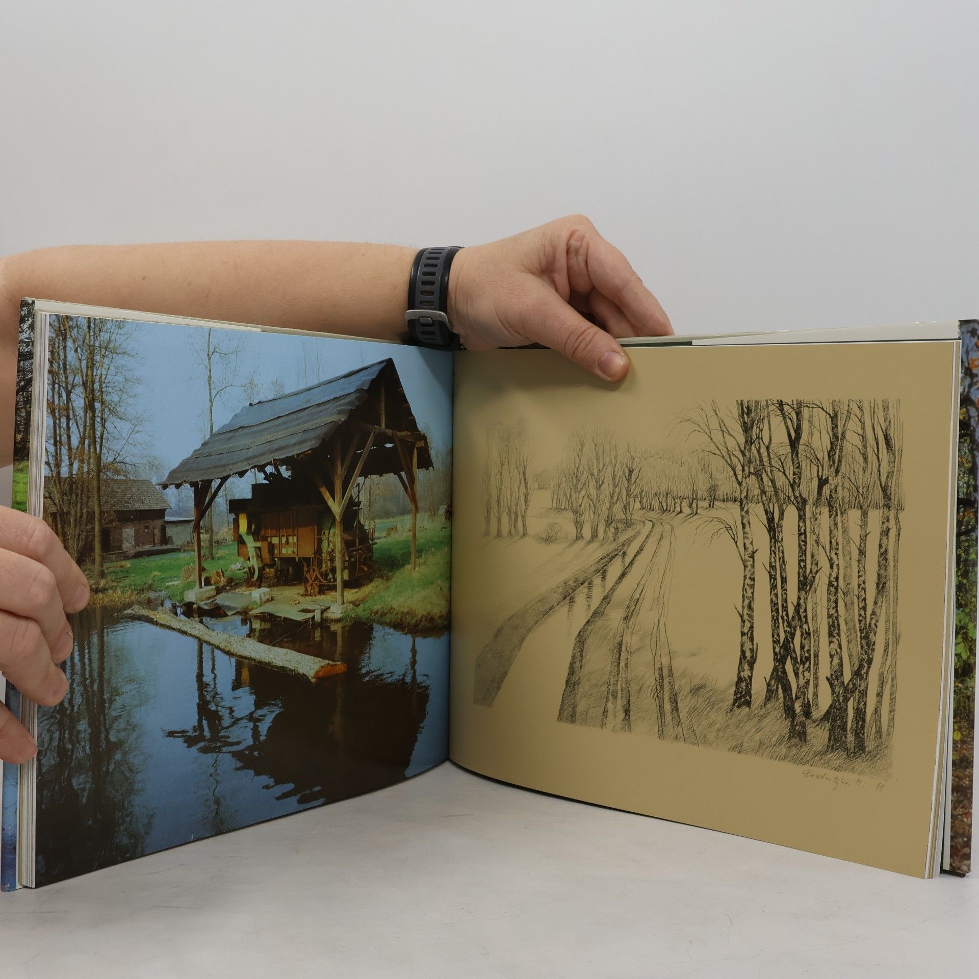 Christel Lehmann Enders Spreewald