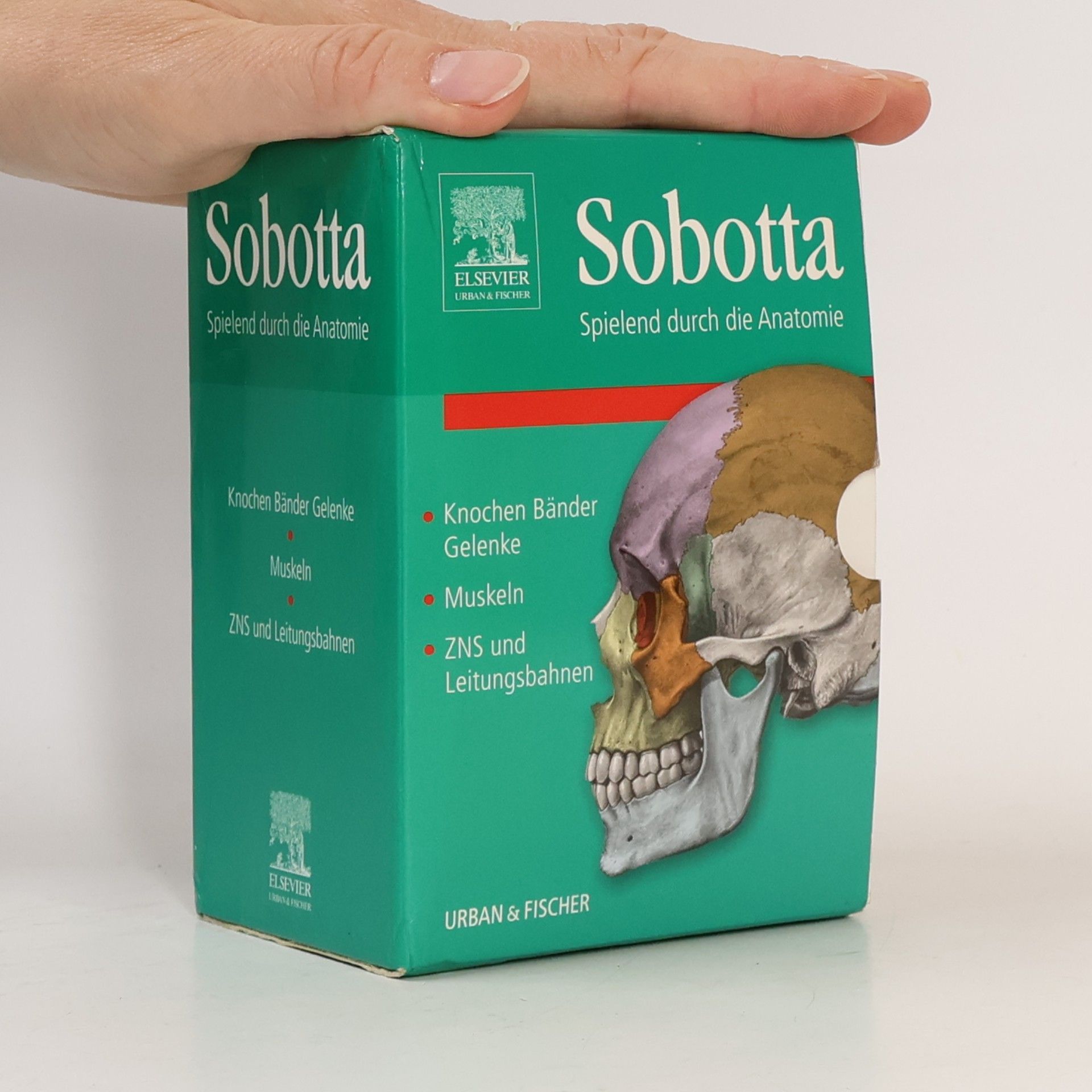 Autorenkollektiv Sobotta Spielend durch die Anatomie