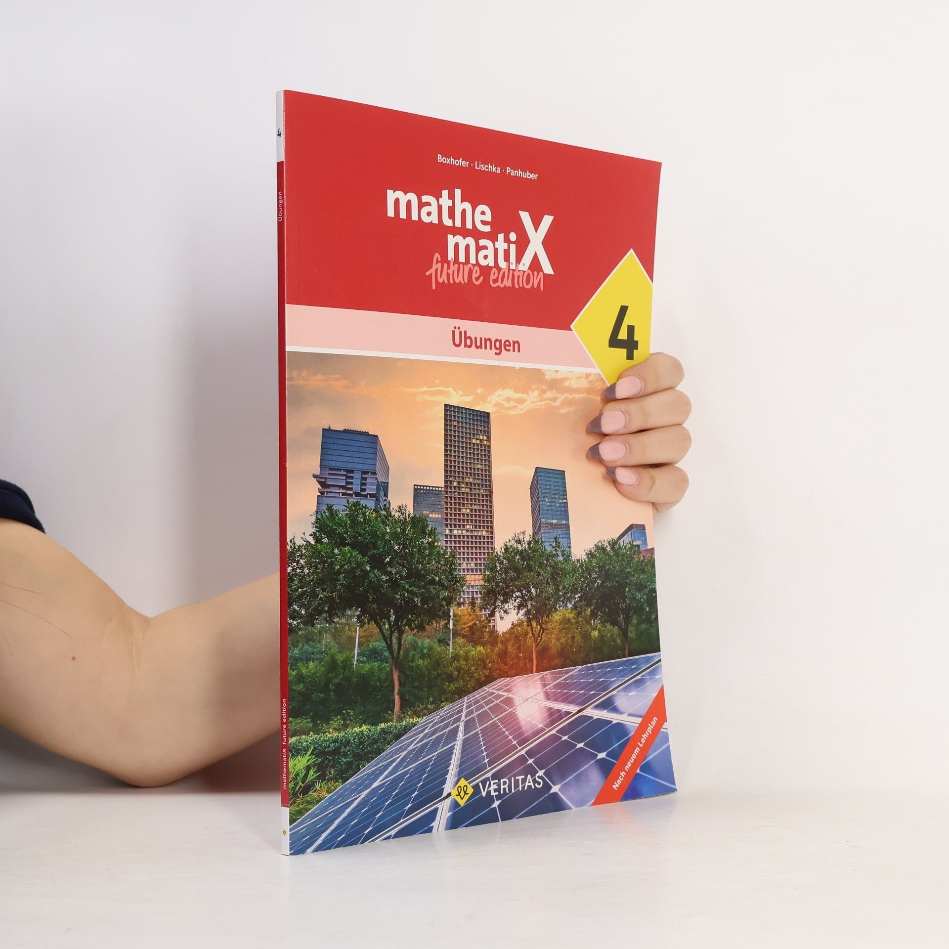 Brigitta Panhuber-Mayr mathematiX