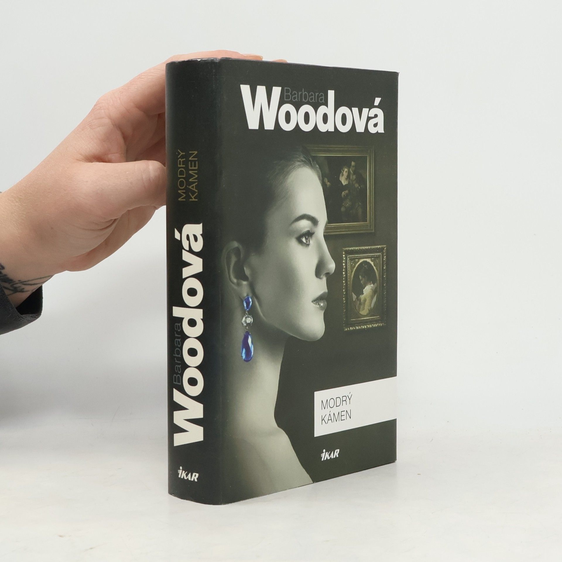 Barbara Wood Modrý kámen