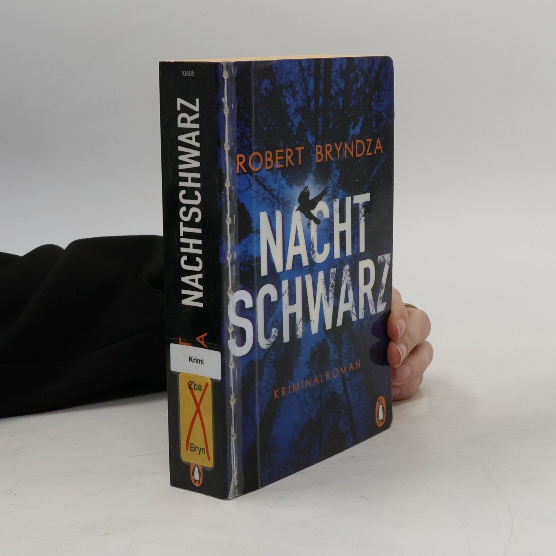 Robert Bryndza Nachtschwarz
