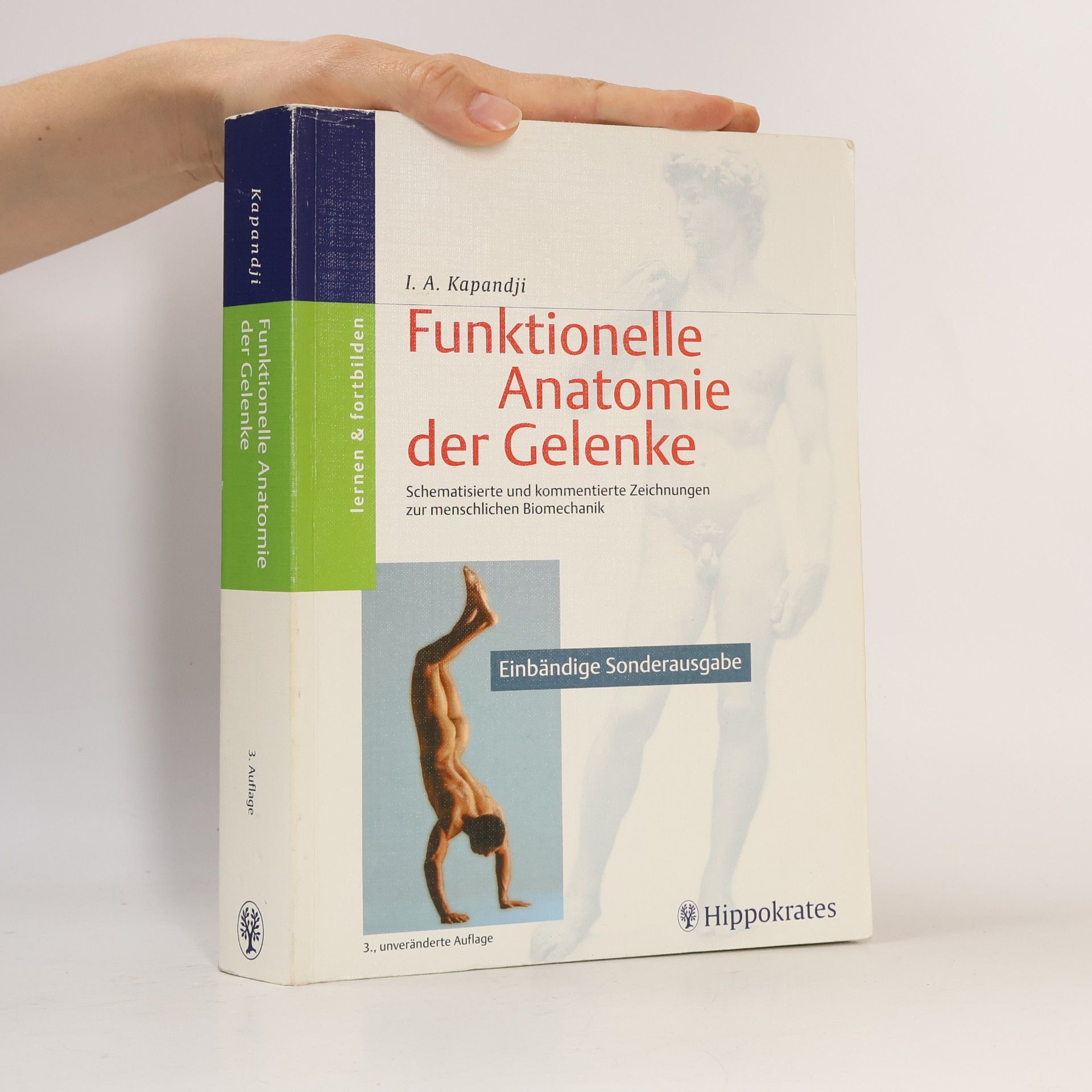 Funktionelle Anatomie der Gelenke