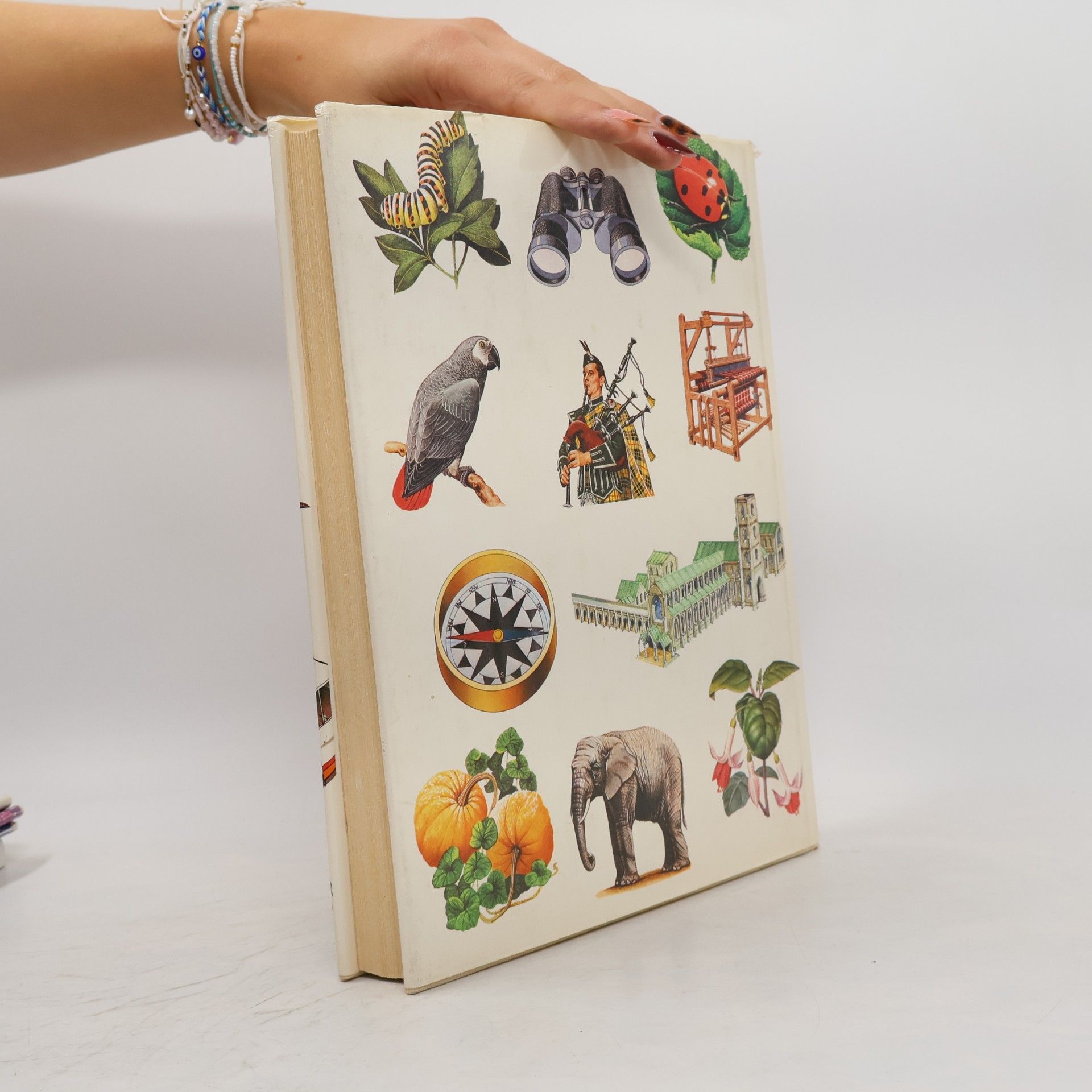 Patrick Hanks Illustrated Children's Dictionary