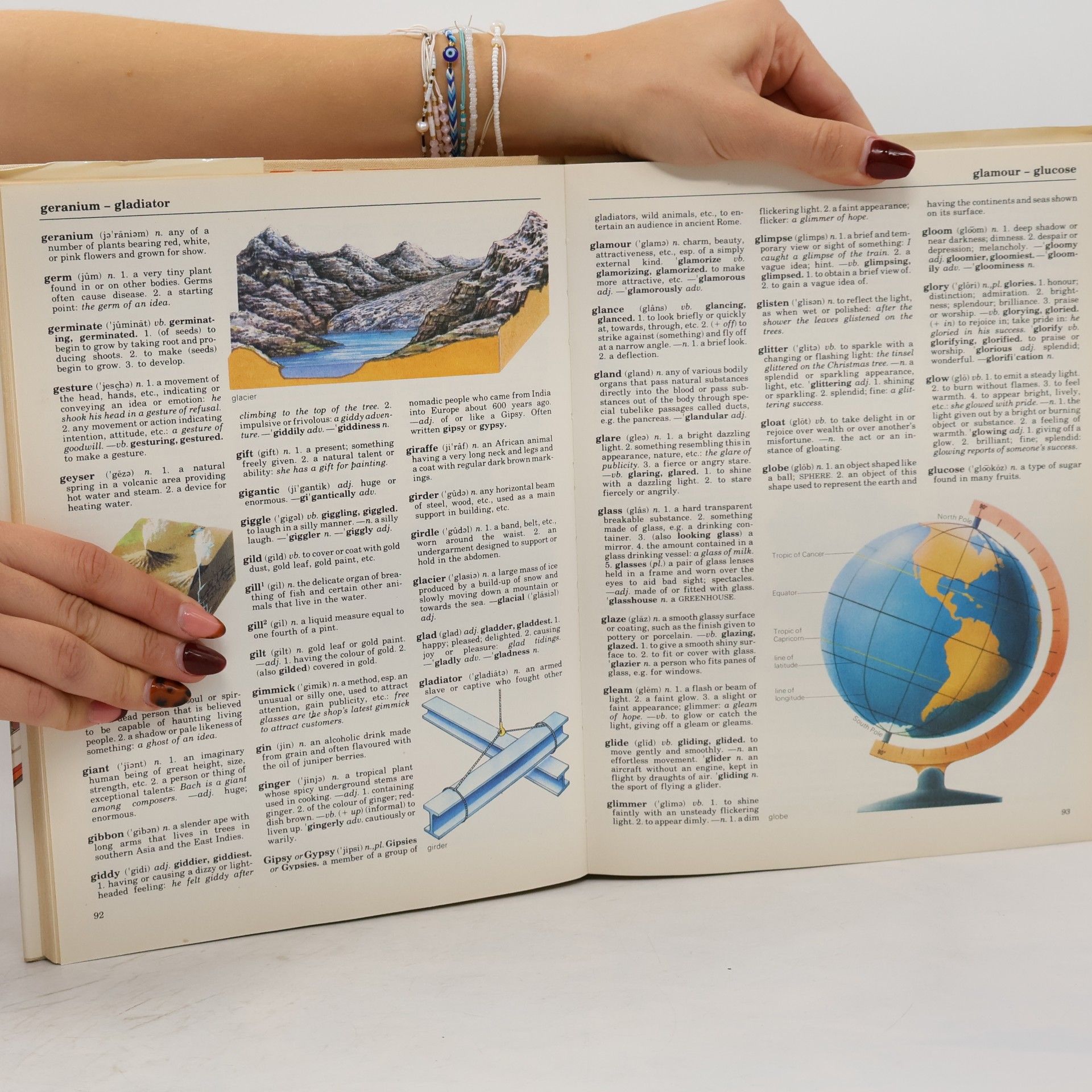 Patrick Hanks Illustrated Children's Dictionary