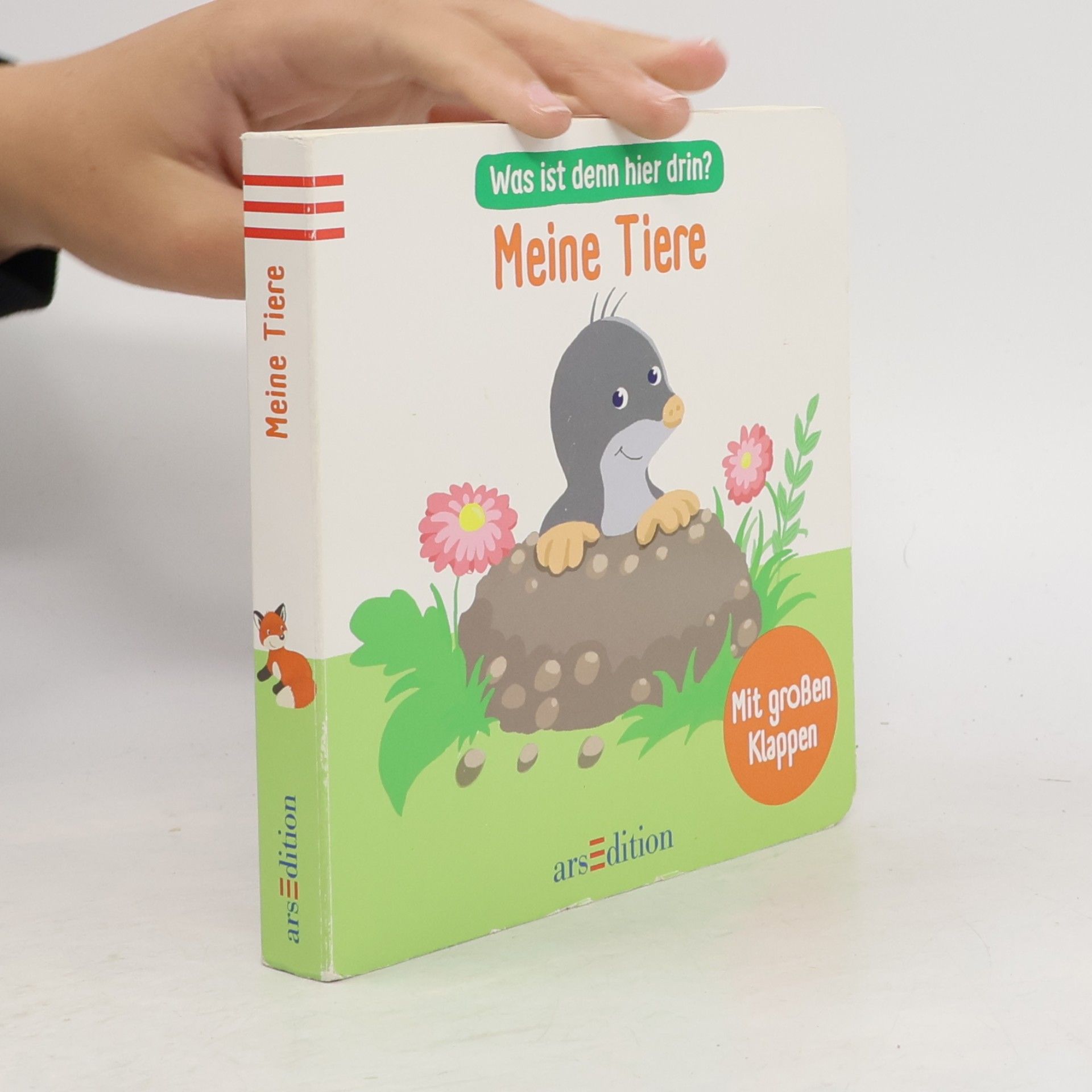 Antje Flad Meine Tiere