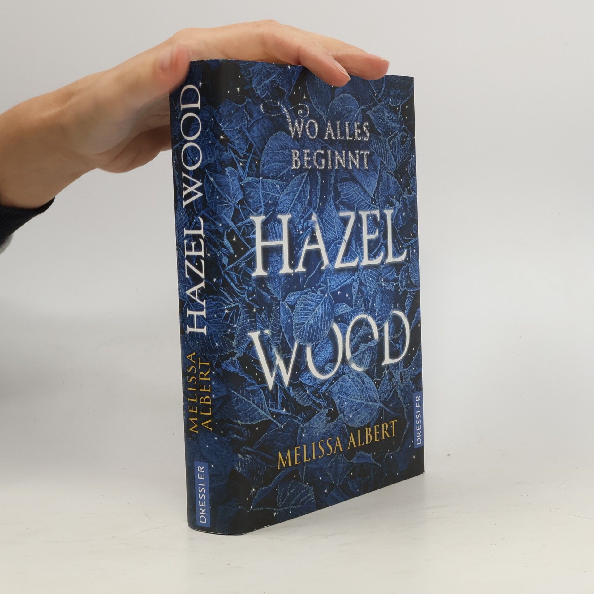 Hazel Wood: Wo alles beginnt