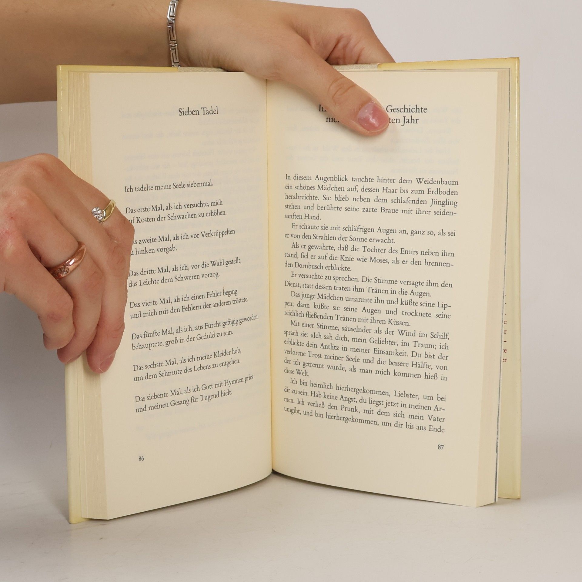 Kahlil Gibran Das Khalil Gibran Lesebuch