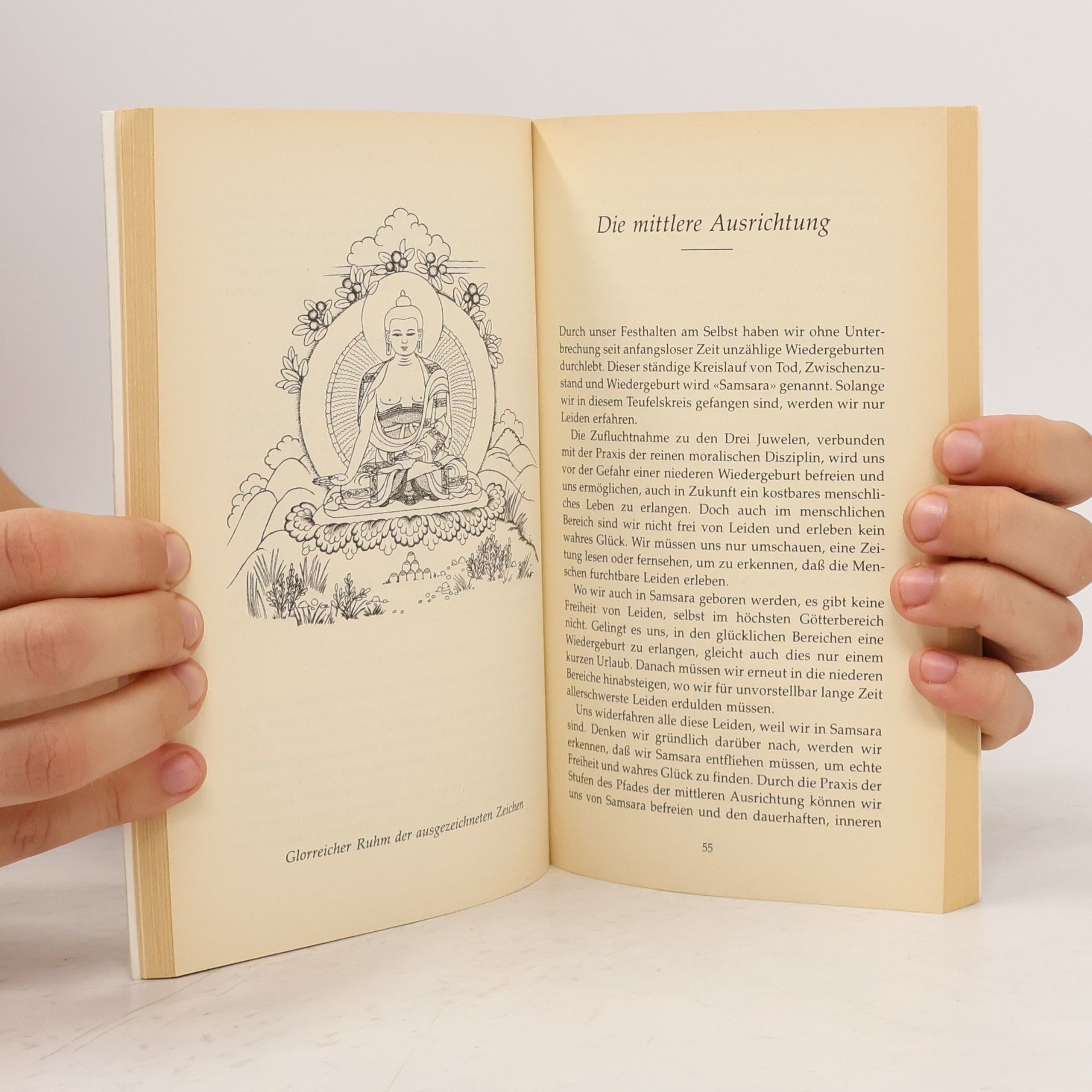 Kelsang Gyatso Das Meditations- handbuch