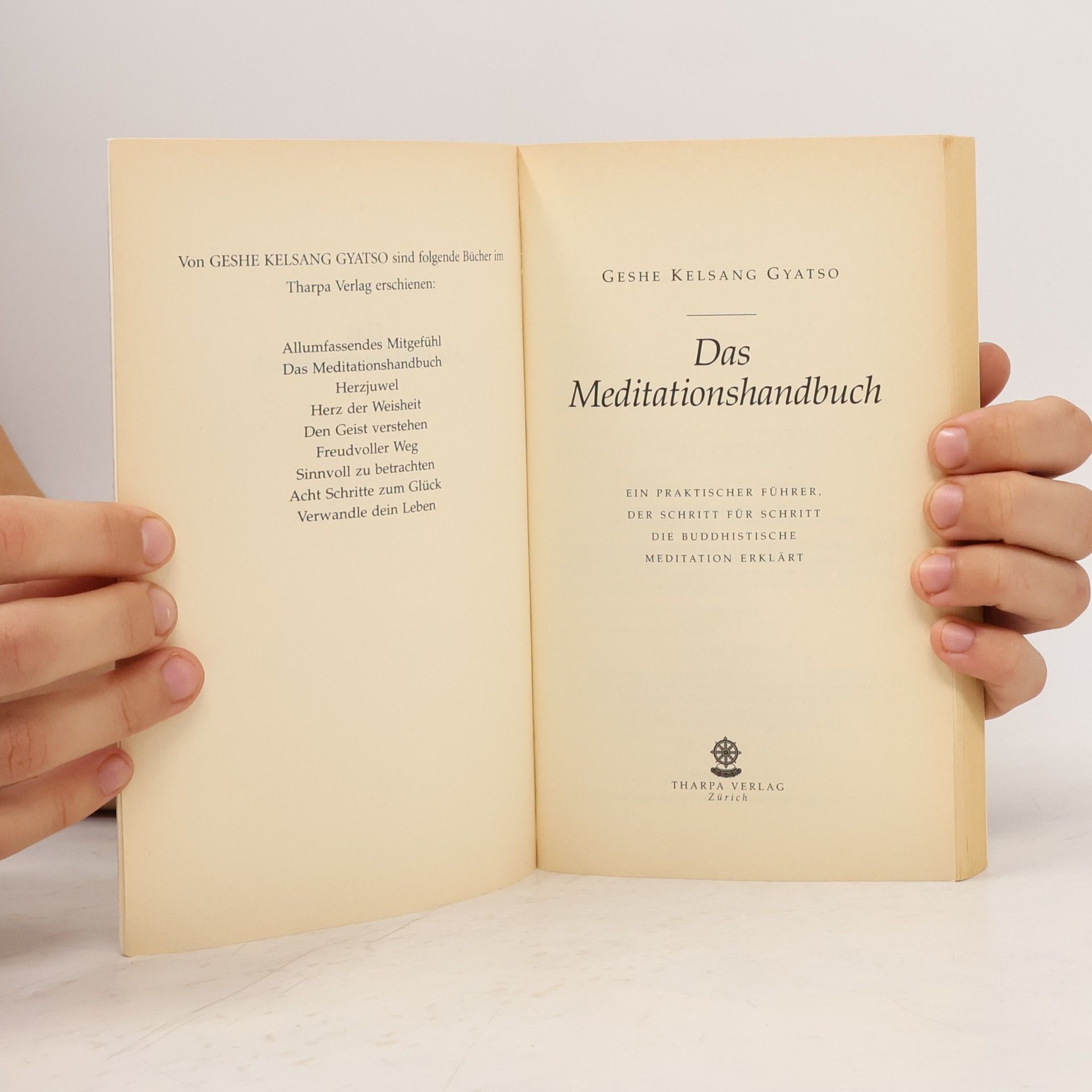 Kelsang Gyatso Das Meditations- handbuch