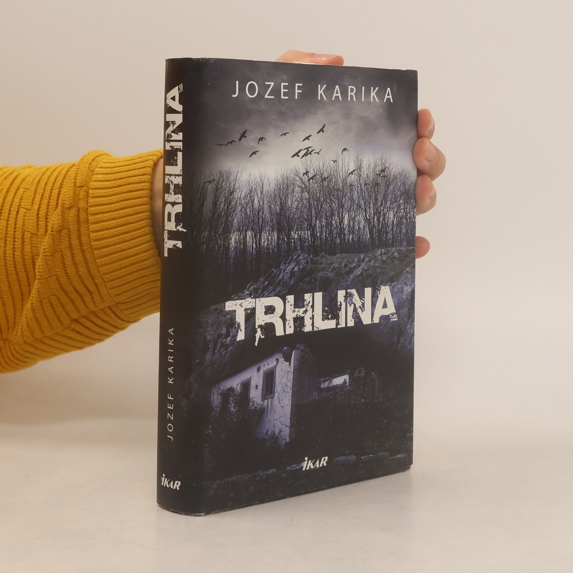 Jozef Karika Trhlina