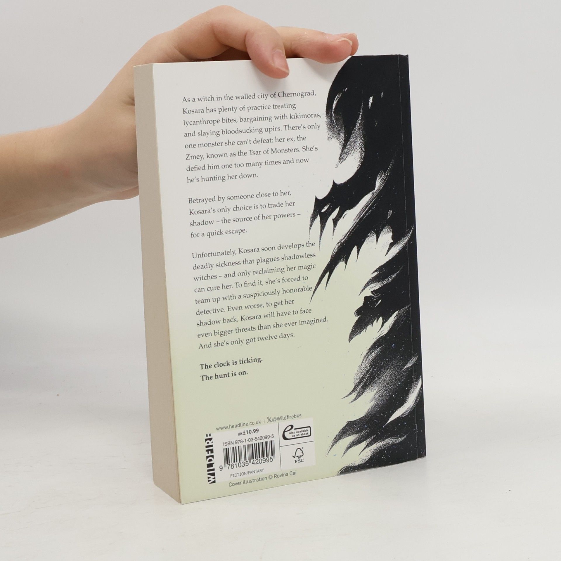 Dimova Genoveva Foul Days: Book One of The Witch´s Compendium of Monsters