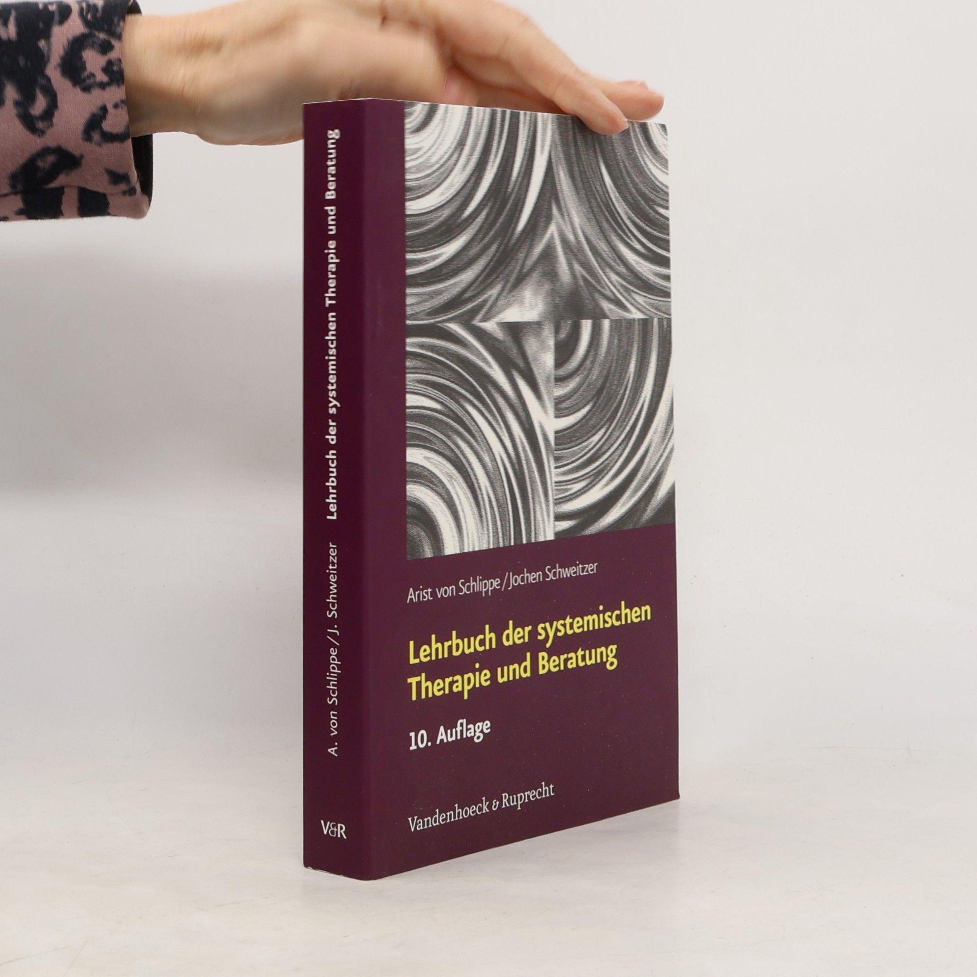 Arist von Schlippe Lehrbuch der systemischen Therapie und Beratung
