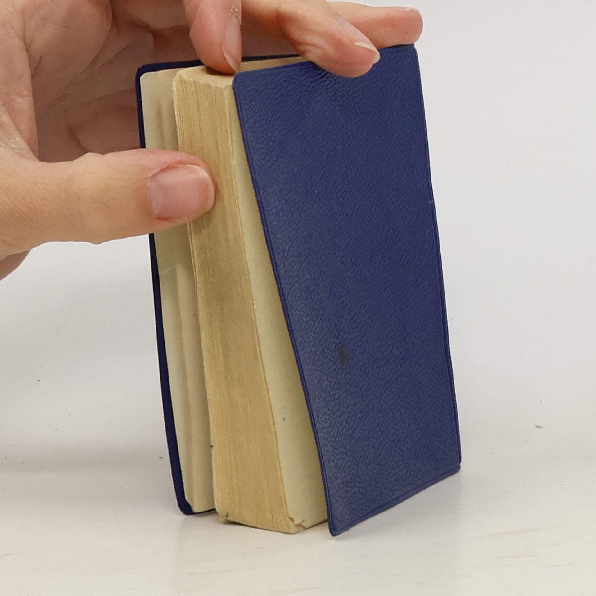 kolektiv Langenscheidts Universal-Wörterbuch
