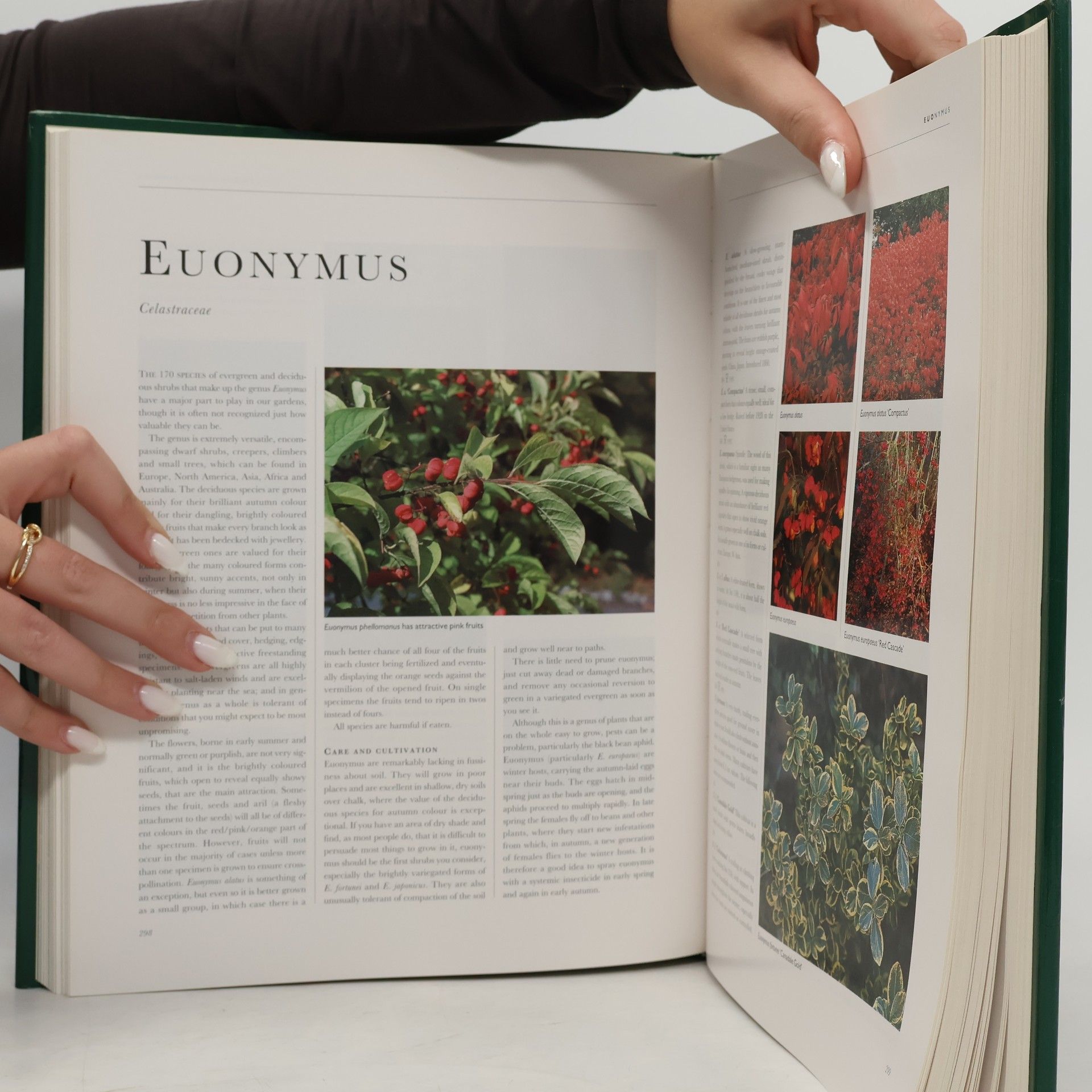 John Kelly The Hillier Gardener's Guide to Trees and Shrubs