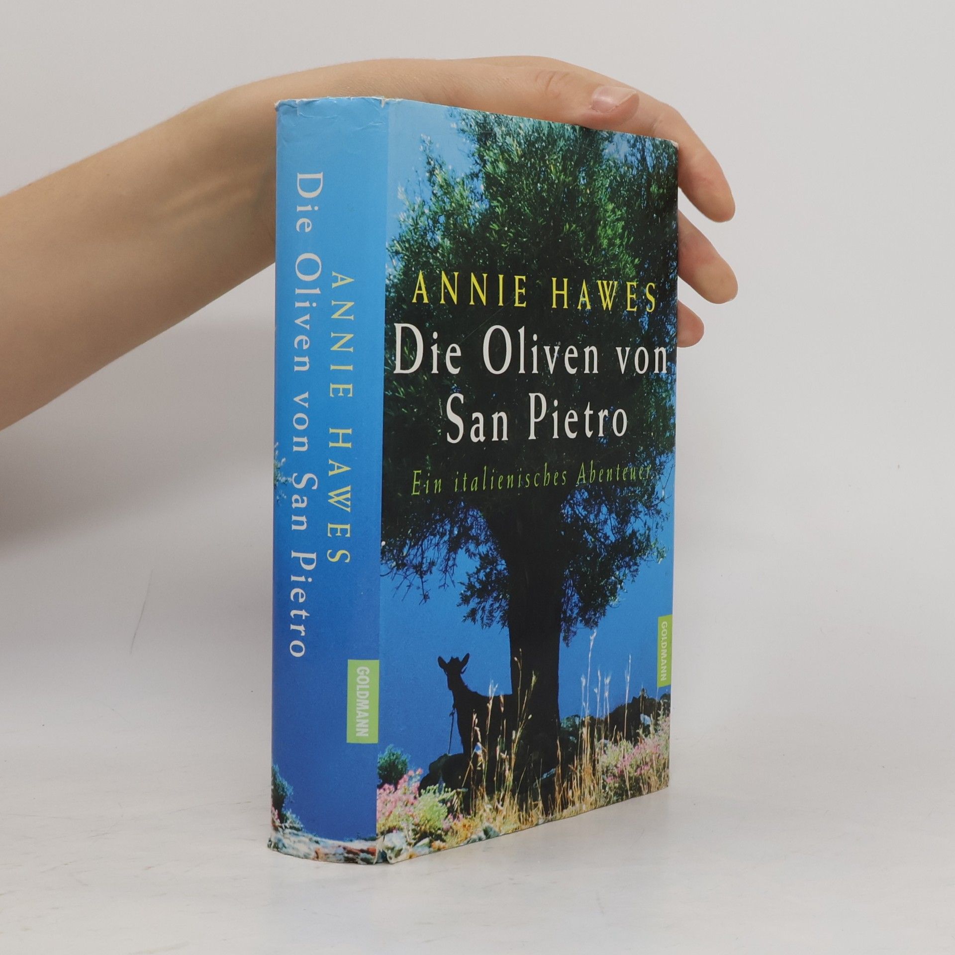 Annie Hawes Die Oliven von San Pietro