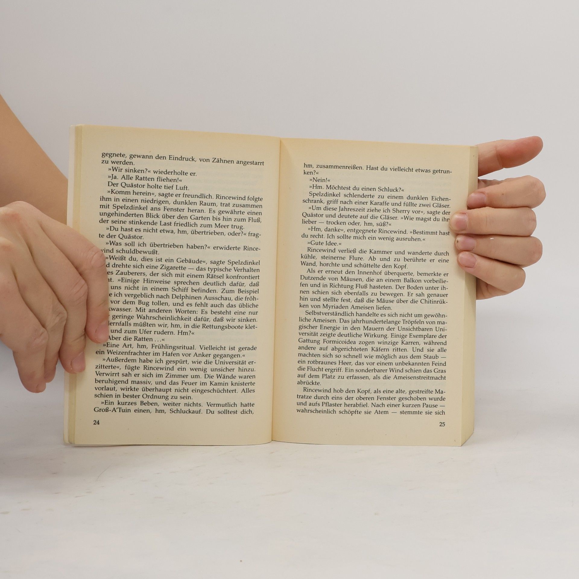 Terry Pratchett Der Zauberhut