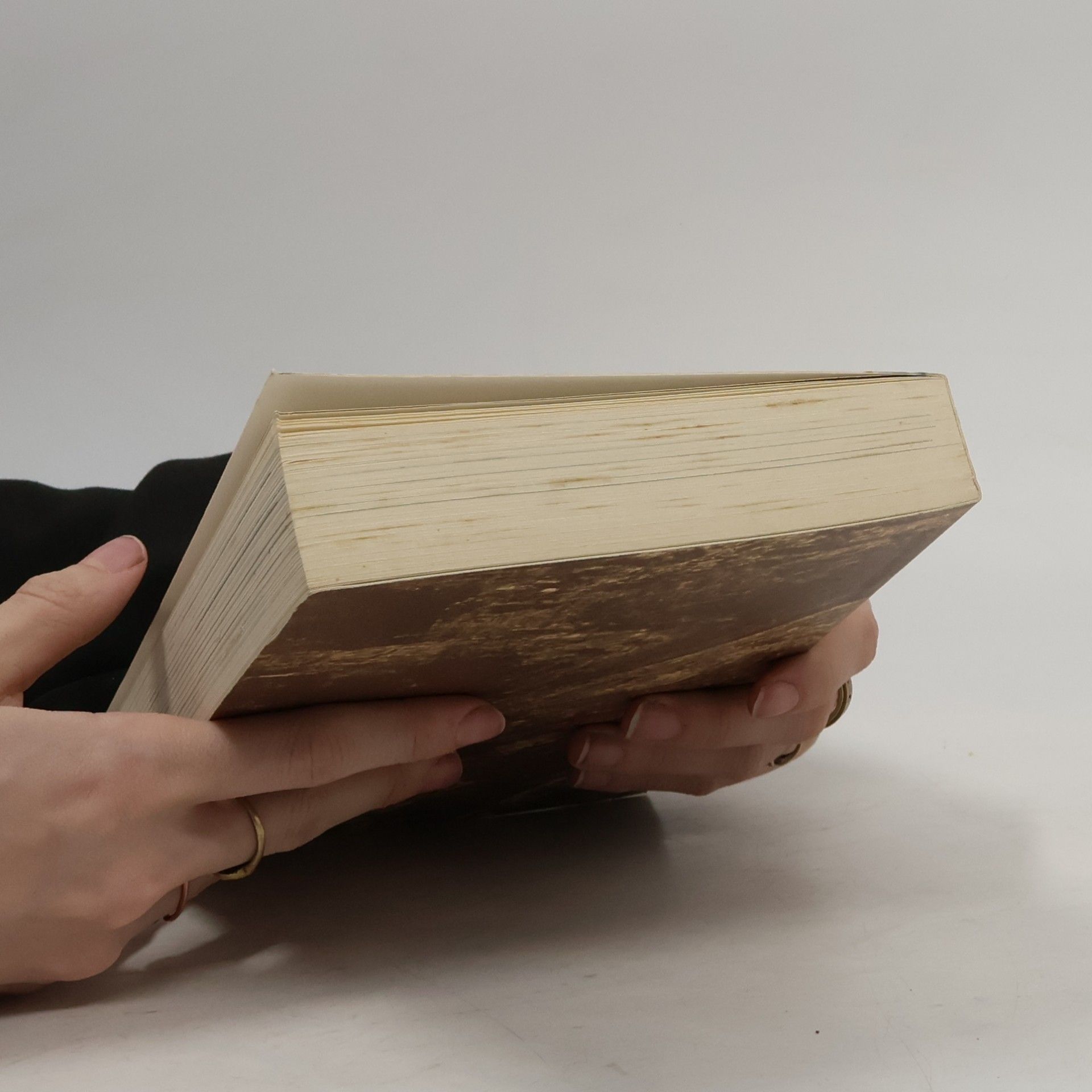 Hans Einsle Das Abenteuer der biblischen Forschung