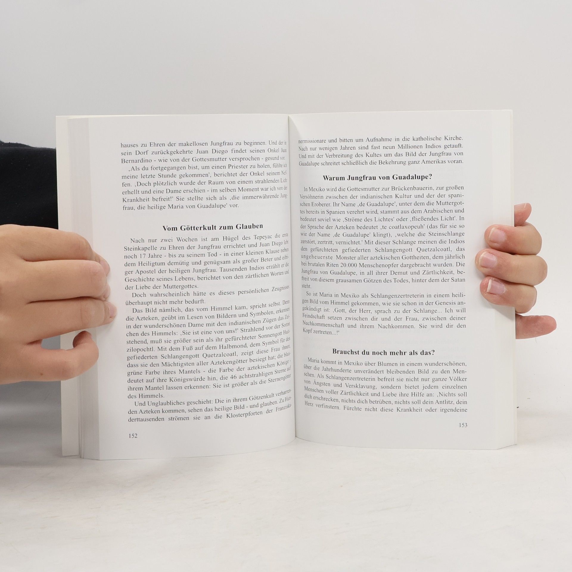 Paul Josef Jakobius Der letzte Kampf zwischen Licht und Finsternis: Ursachen, Hintergründe und Folgen