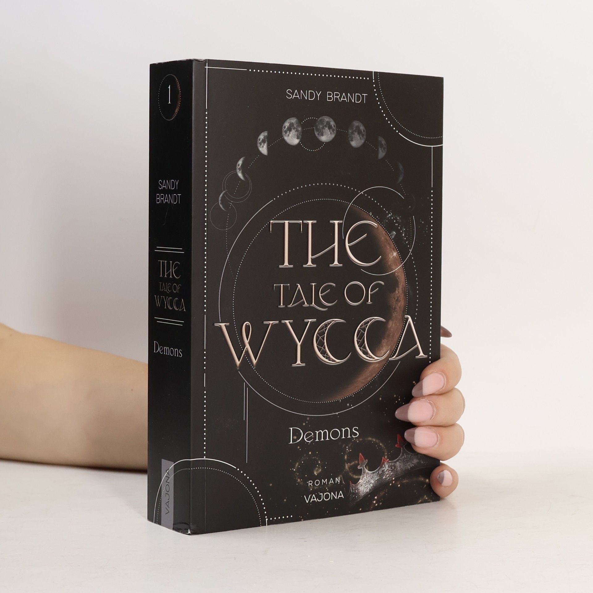 Sandy Brandt The Tale of Wycca 1. Demons