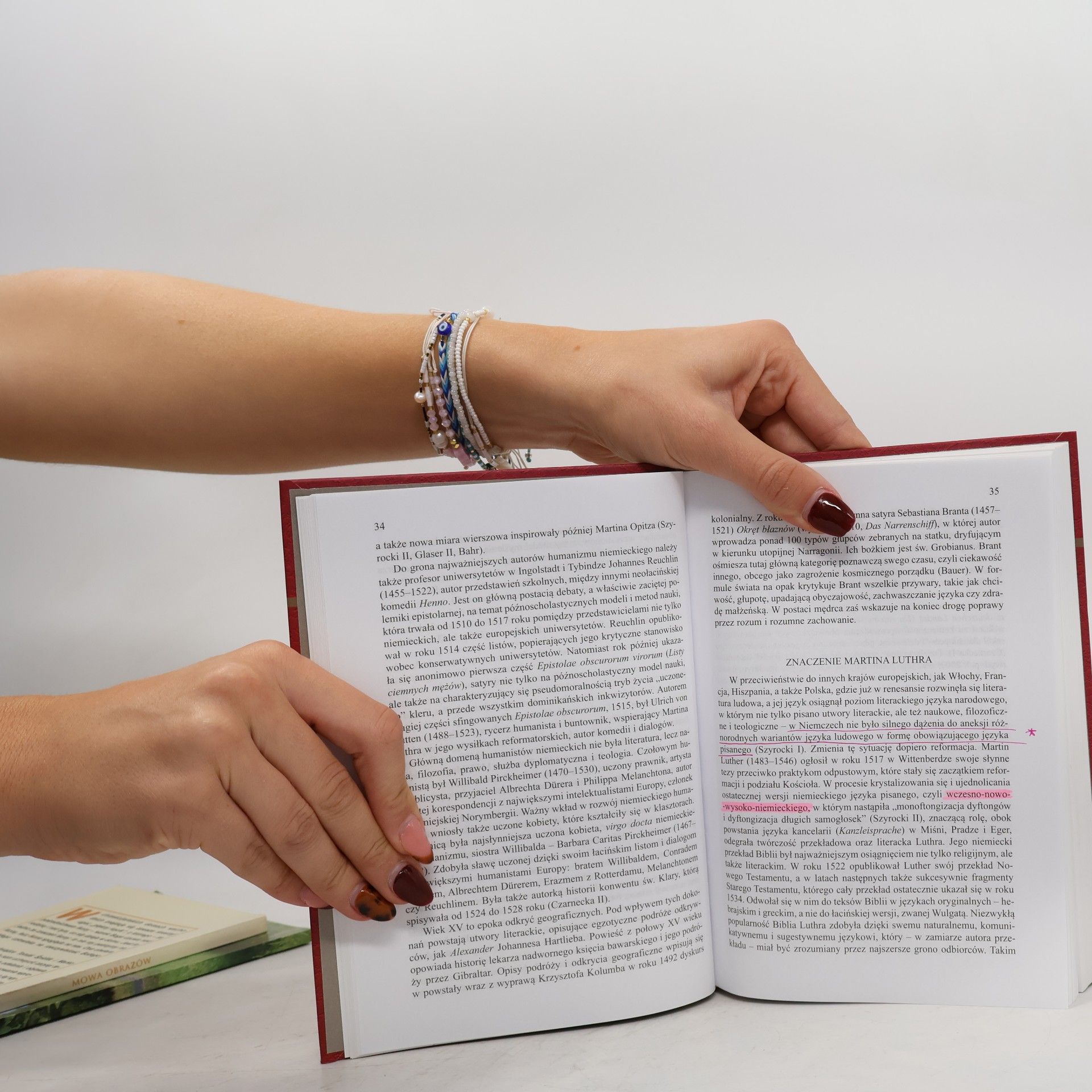 Mirosława Czarnecka Historia literatury niemieckiej